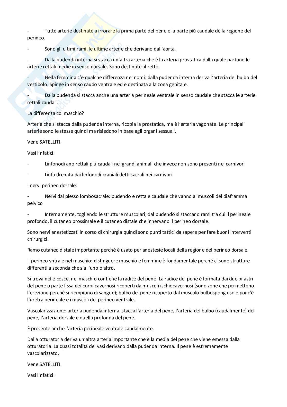 Riassunto esame Citologia e istologia- anatomia generale e topografica 1, Prof. Tagliavia Claudio, libro consigliato Anatomia degli animali domestici, Konigh, Liebich Pag. 41