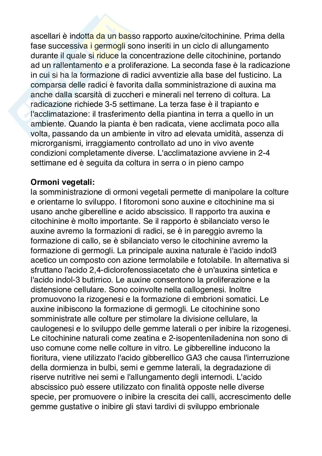 Biotecnologie vegetali  Pag. 6