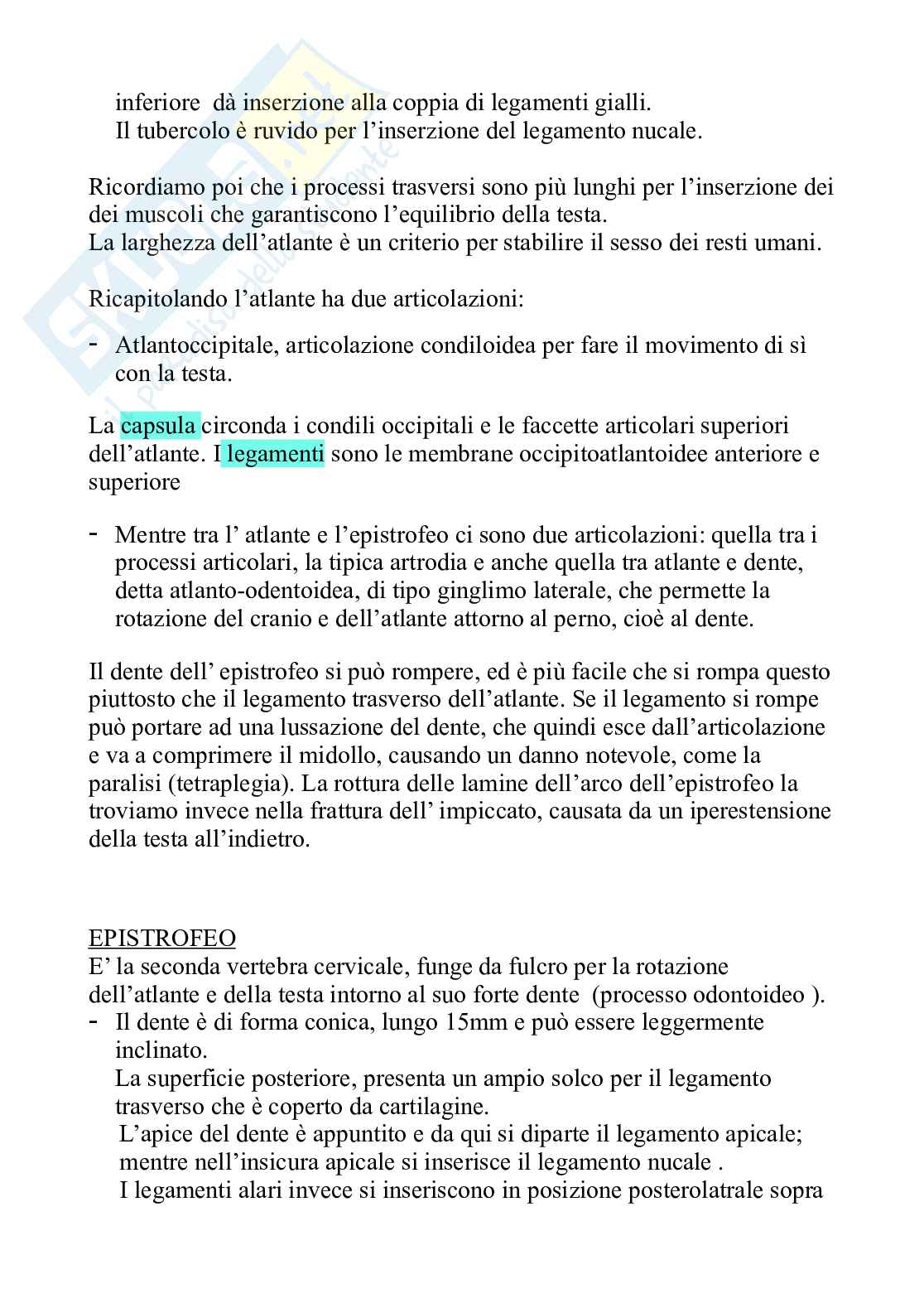 Colonna vertebrale: ossa articolazioni Pag. 6