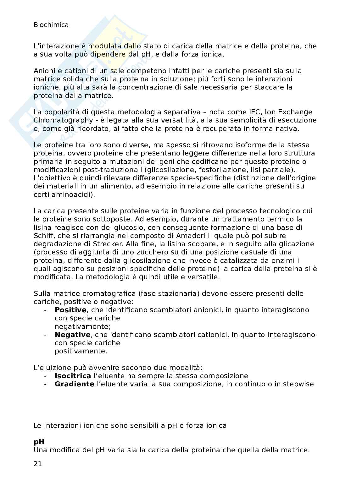 Appunti Biochimica delle trasformazioni alimentari Pag. 21