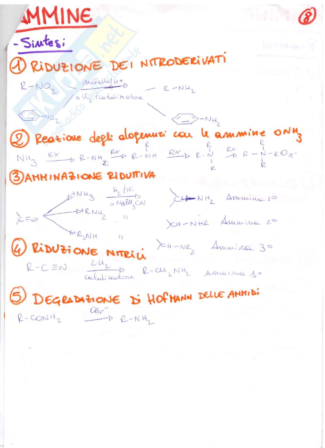 Ammine, benzeni ed esteri Pag. 2