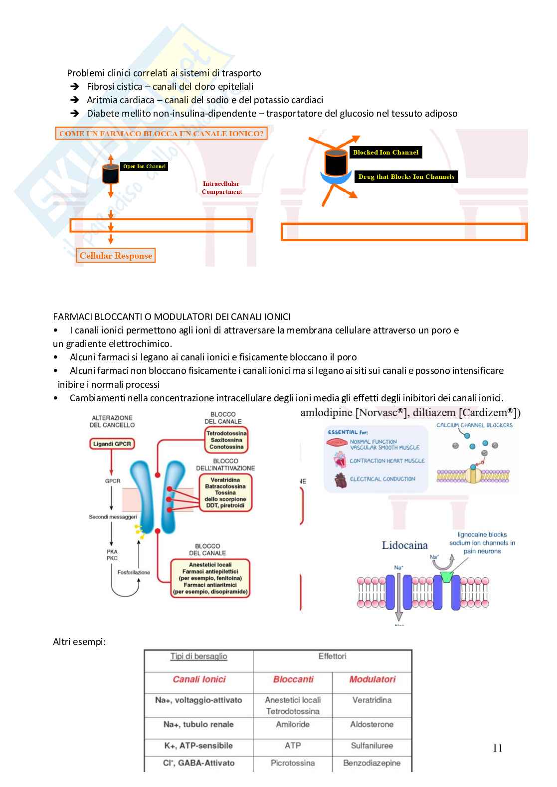 Appunti Farmacovigilanza  Pag. 11