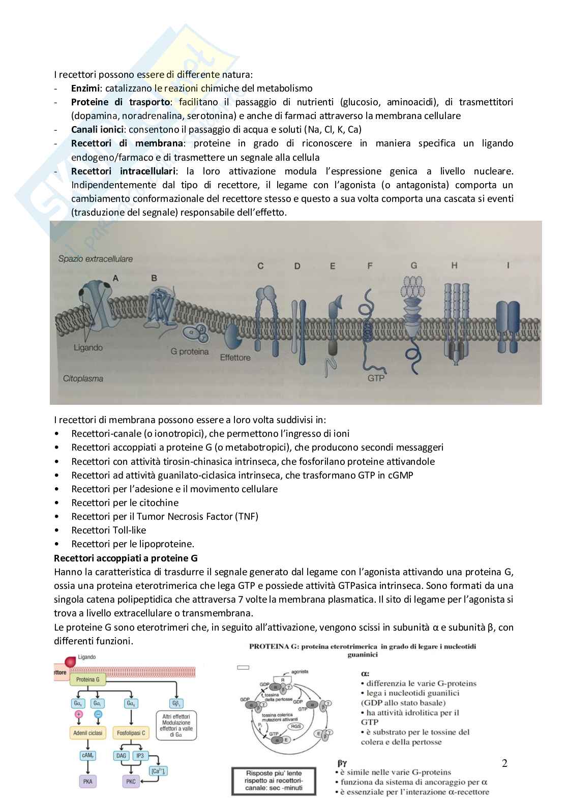 Appunti Farmacovigilanza  Pag. 2
