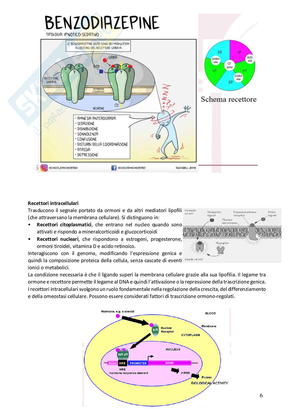 Appunti Farmacovigilanza  Pag. 6