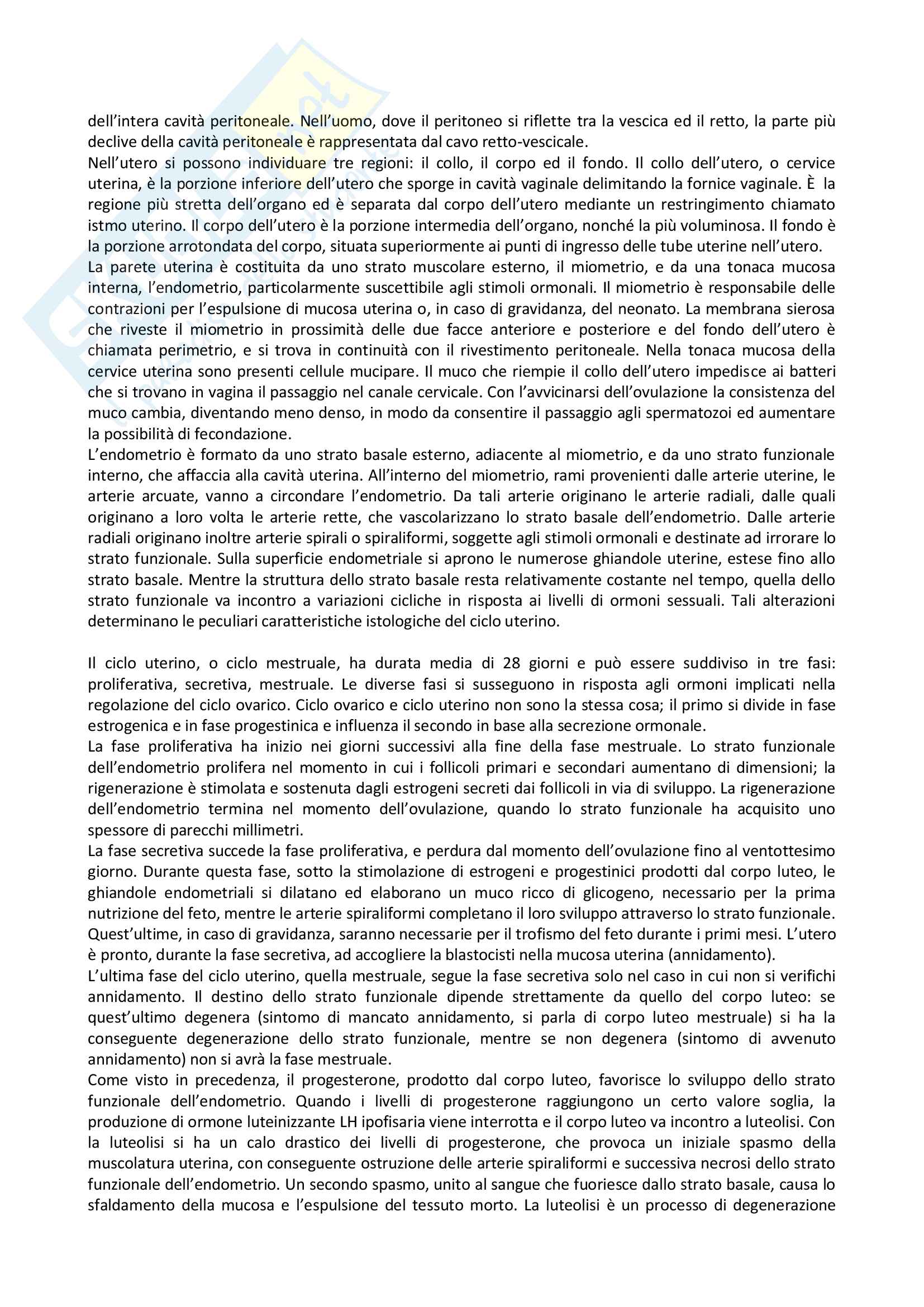 Appunti di Anatomia Umana Pag. 21