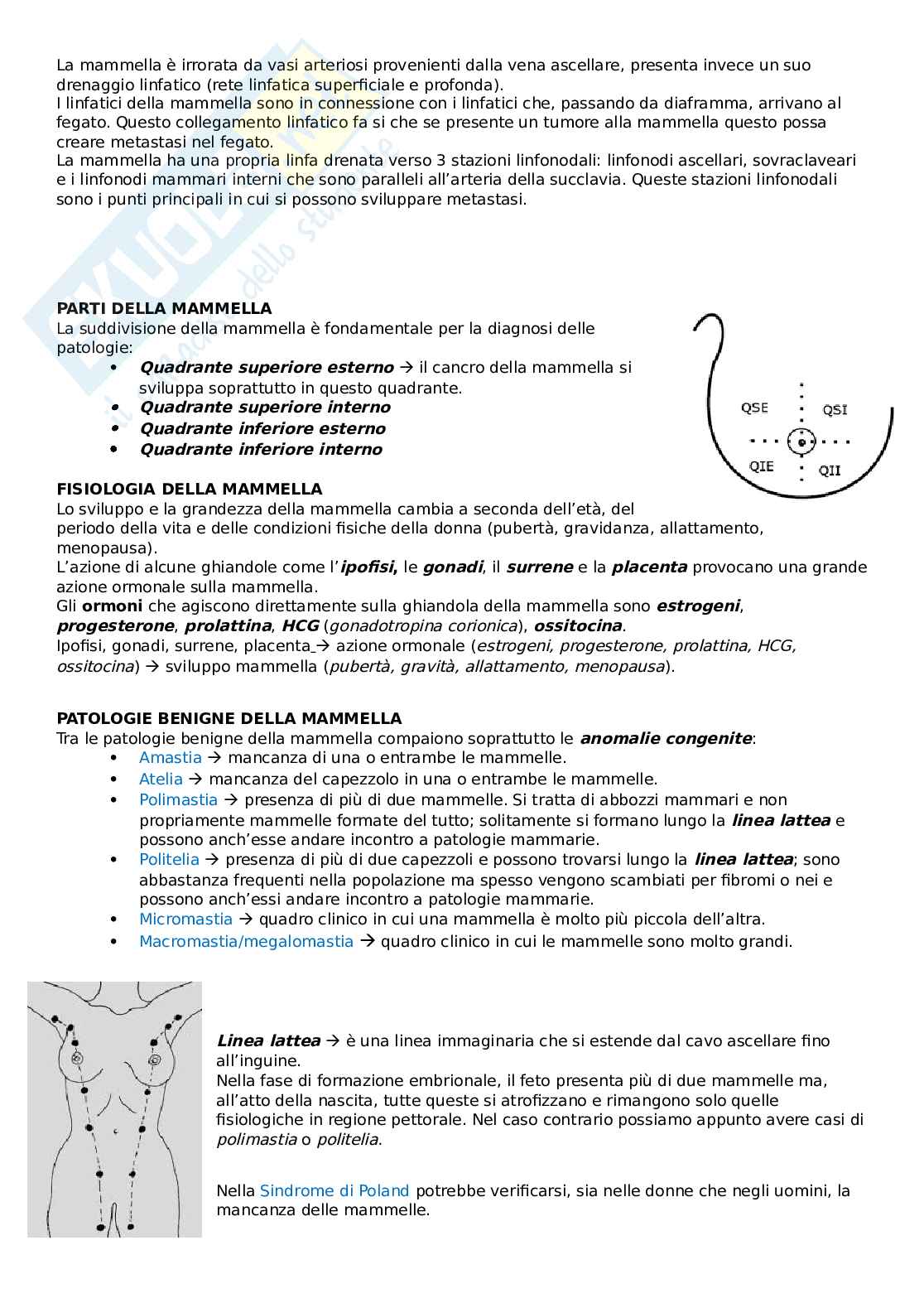 Appunti di chirurgia generale Pag. 16