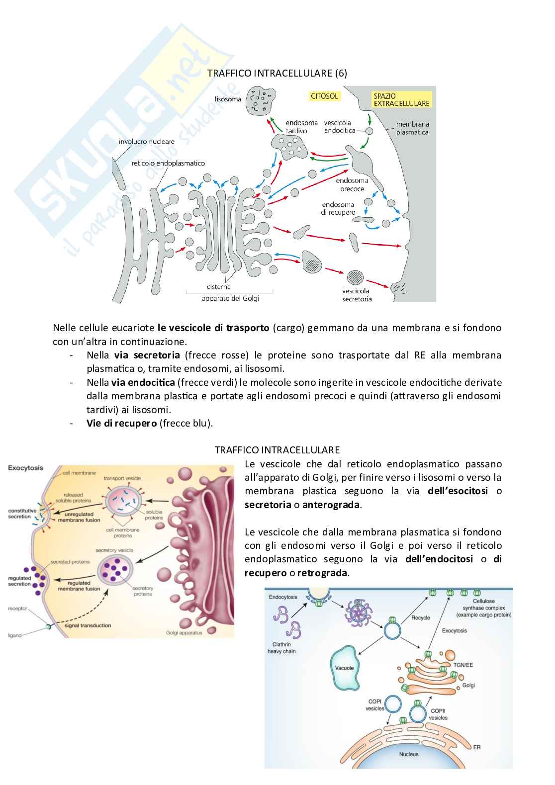 Biologia Pag. 1