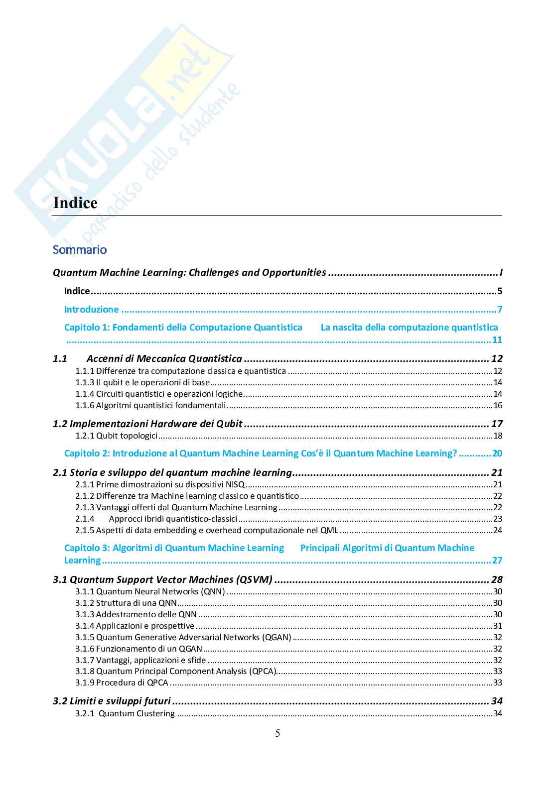 Quantum Machine Learning: Challenges and Opportunities Pag. 6