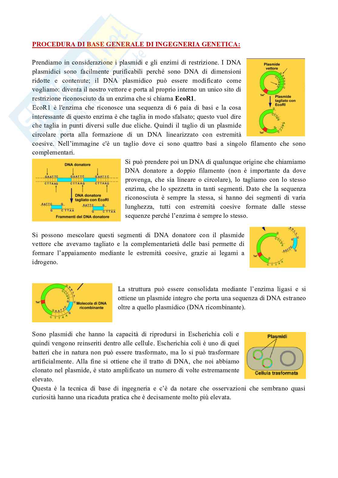 Microbiologia Pag. 2