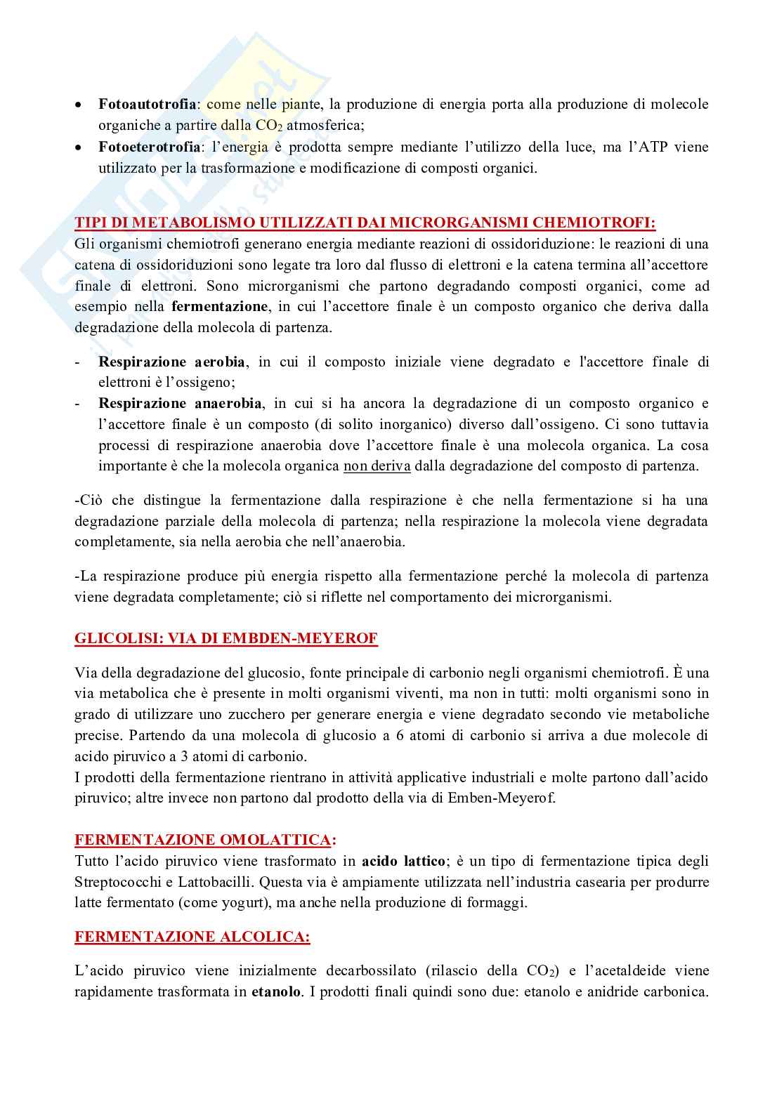 Microbiologia Pag. 6