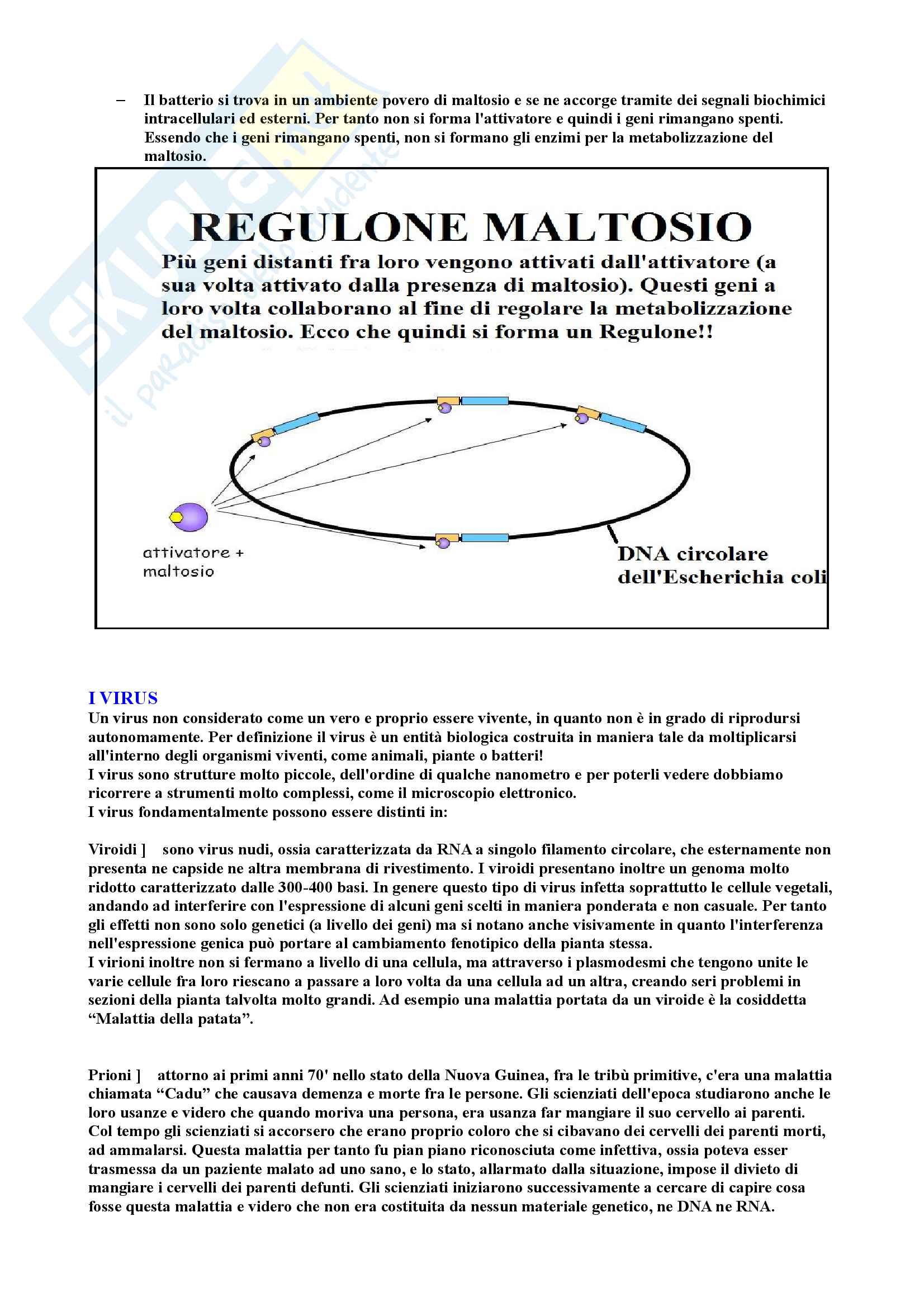 Riassunto di Microbiologia Pag. 51