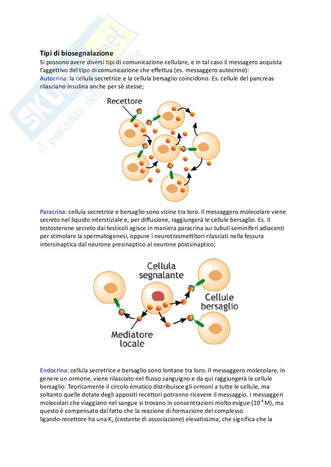 Segnalazione cellulare Pag. 2