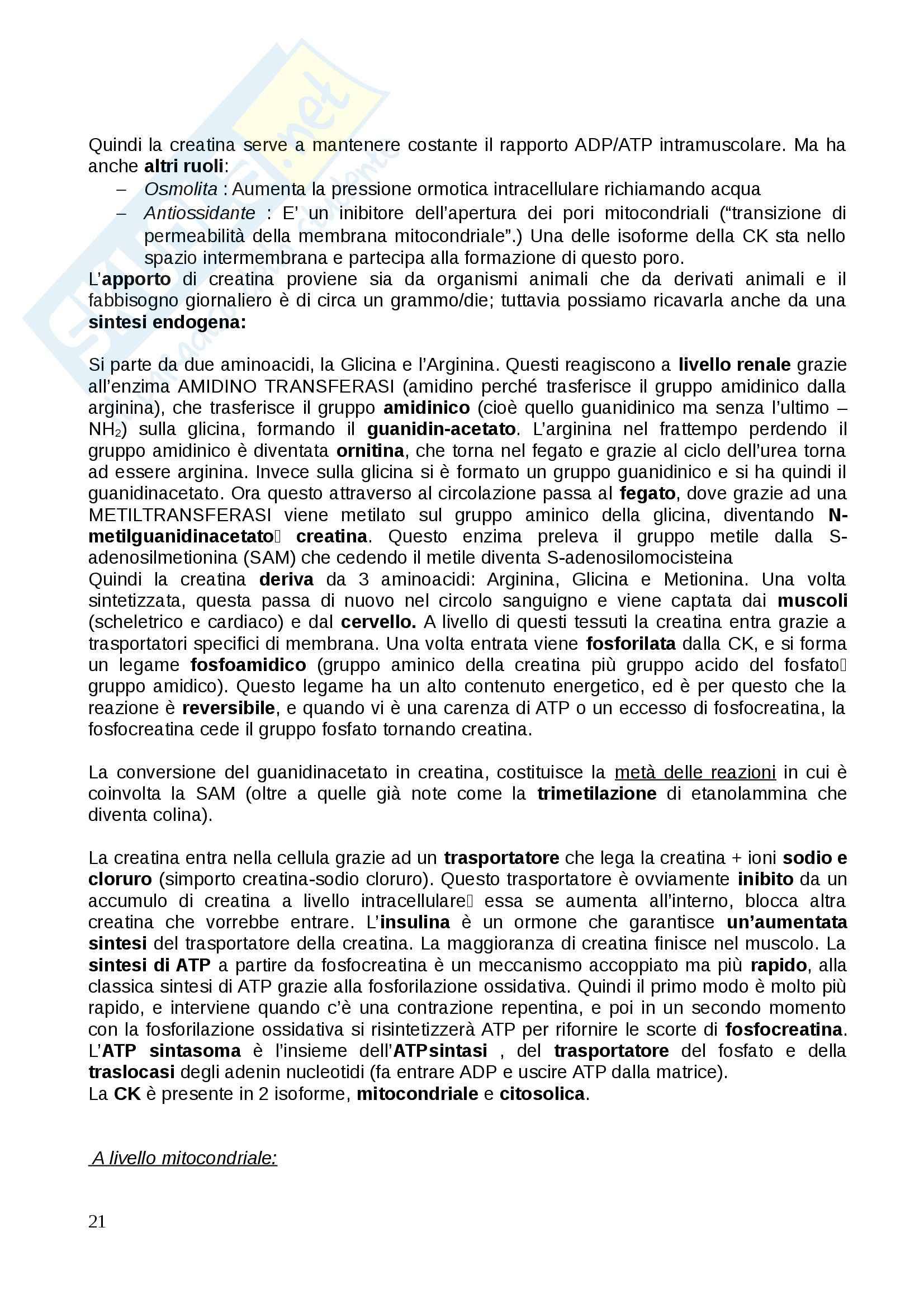 Biochimica speciale - Appunti Pag. 21