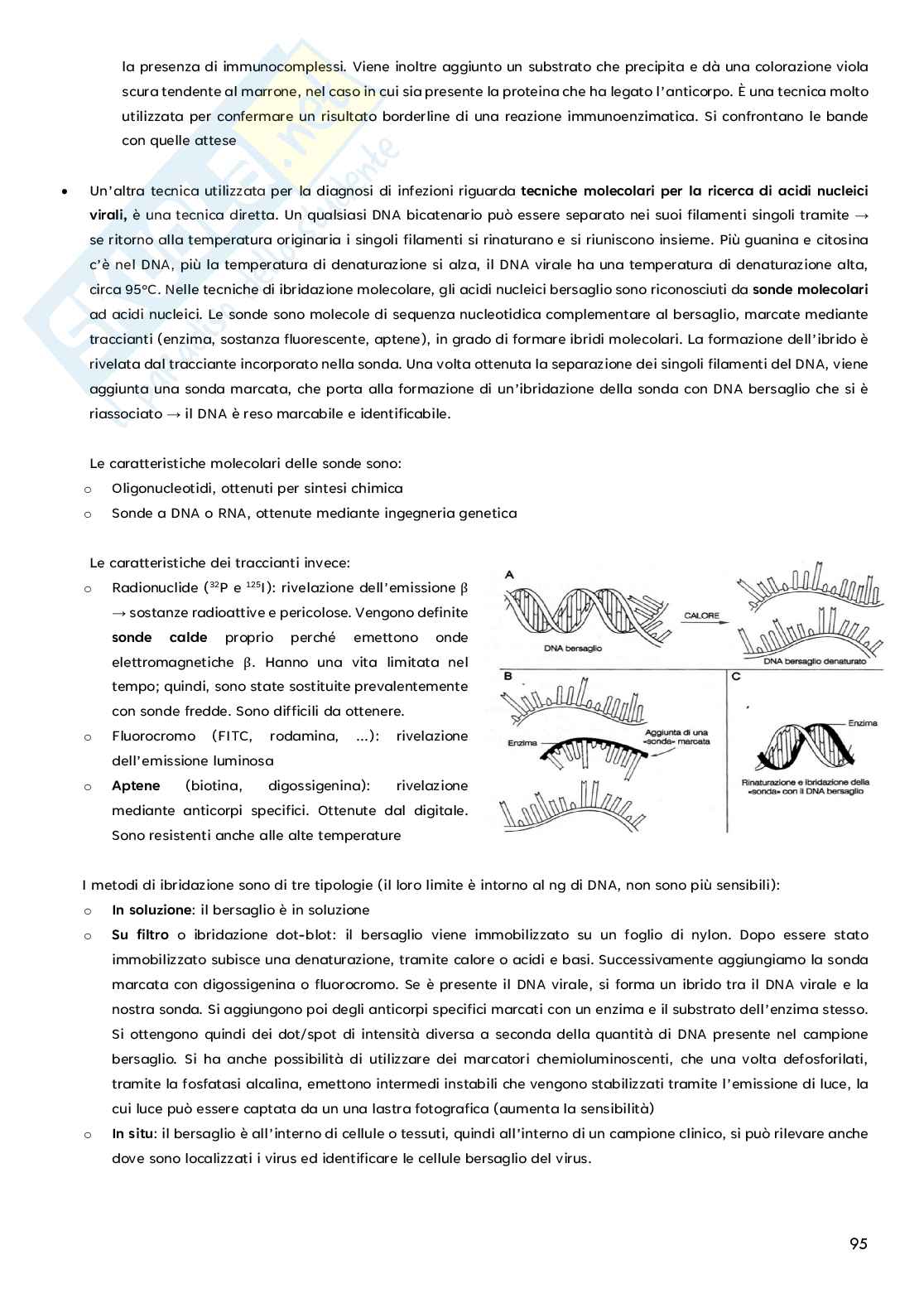 Microbiologia - virus Pag. 21