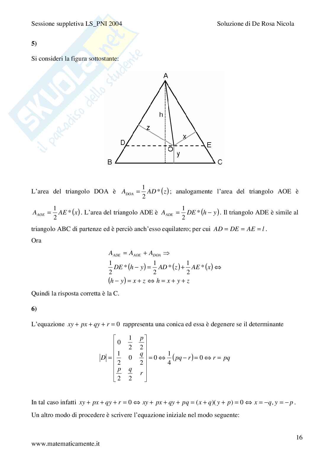 2004 - Liceo scientifico PNI prova suppletiva Pag. 16