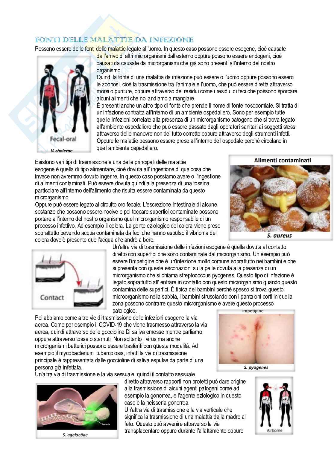 Microbiologia Pag. 76