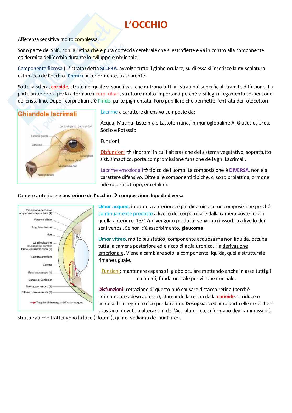 Fisiologia 1 Pag. 1
