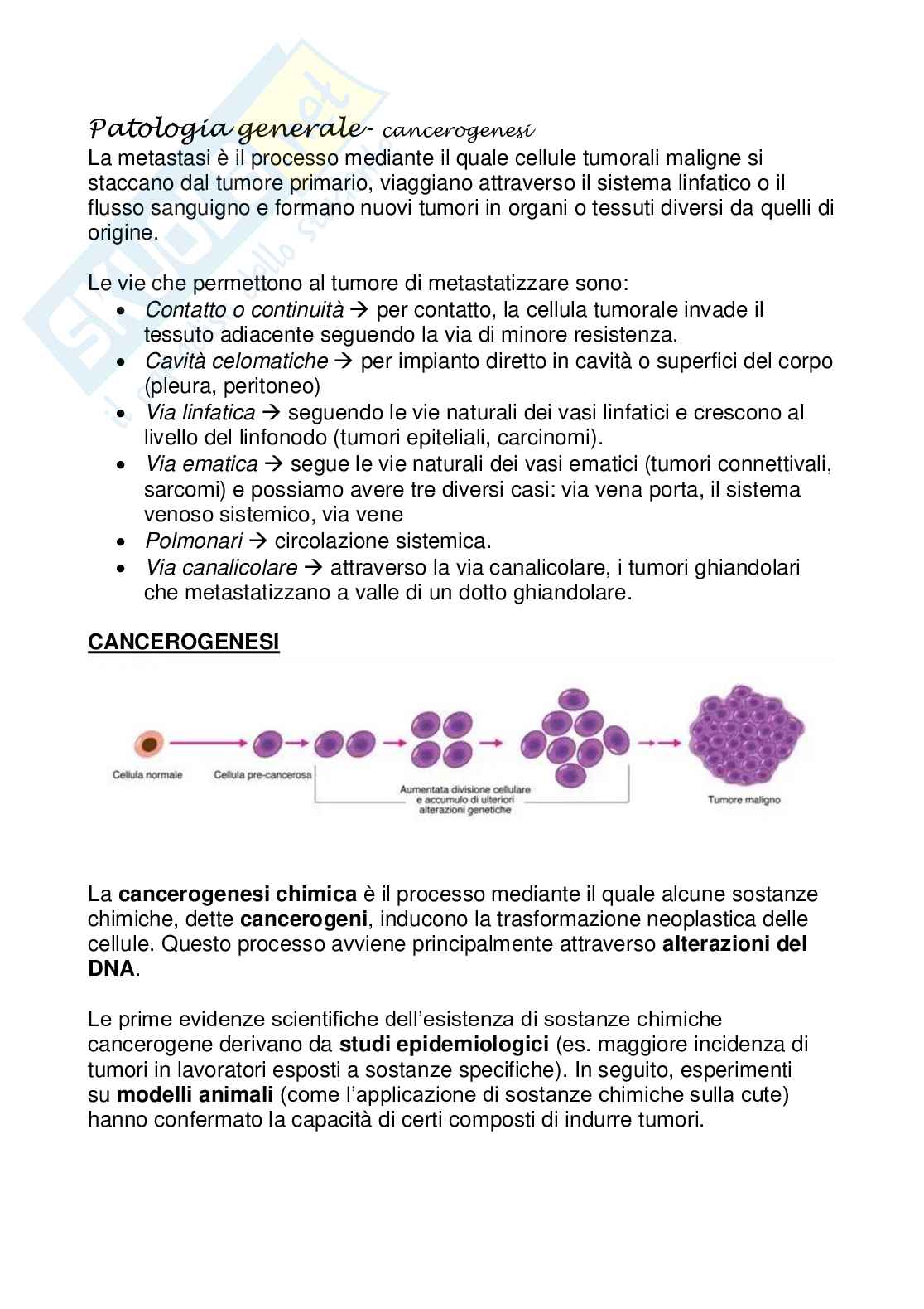Patologia generale - Cancerogenesi Pag. 1