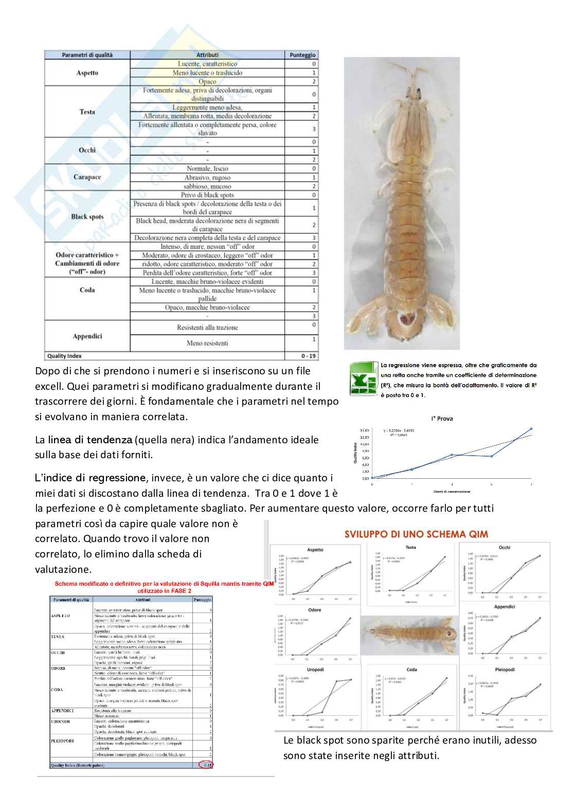 Appunti di Igiene e tecnologia delle produzioni primarie Pag. 16