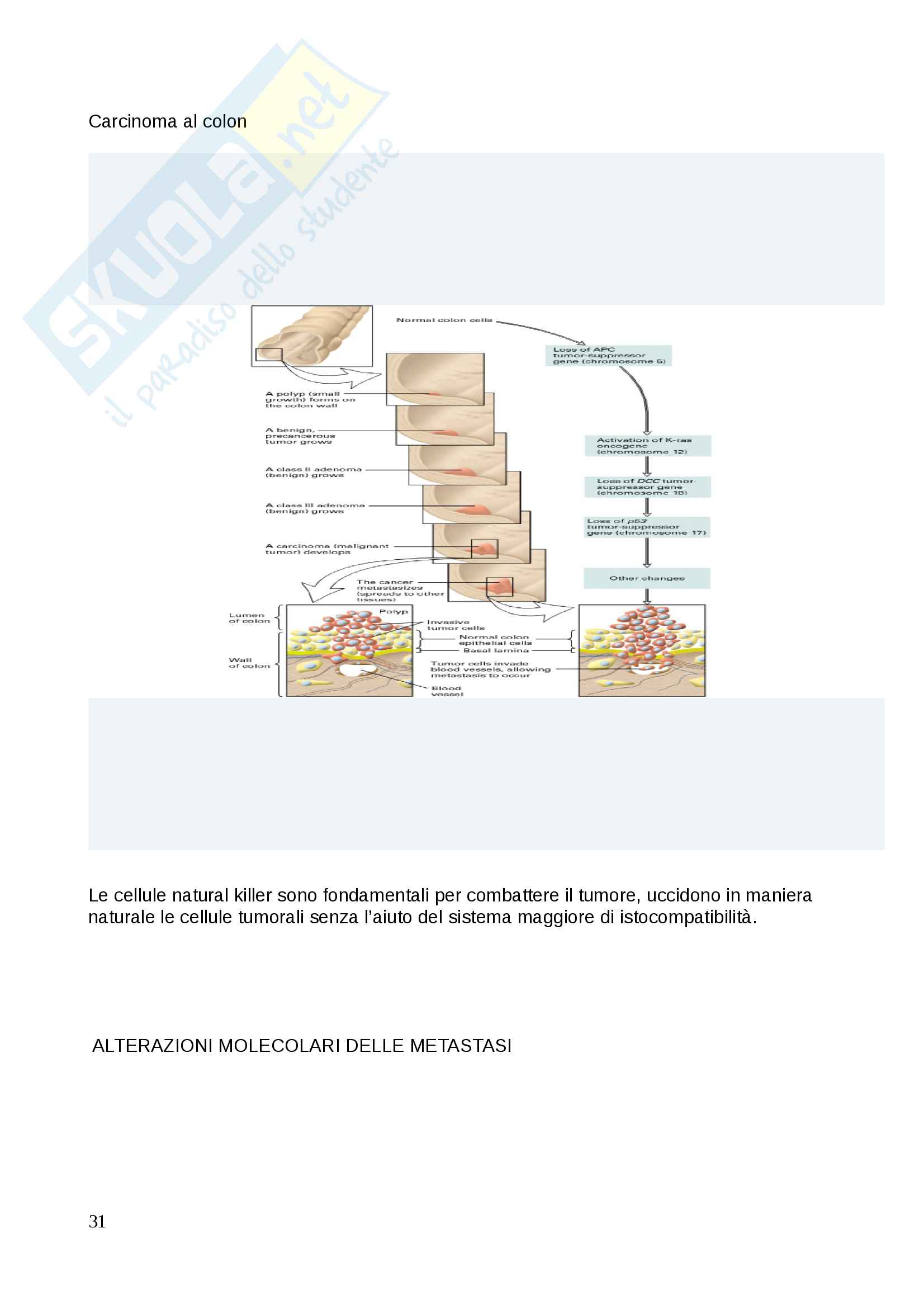Patologia generale Pag. 31