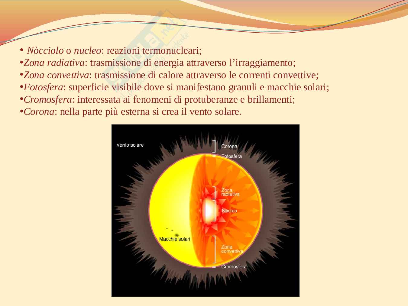 Tesina sul Girasole Pag. 11