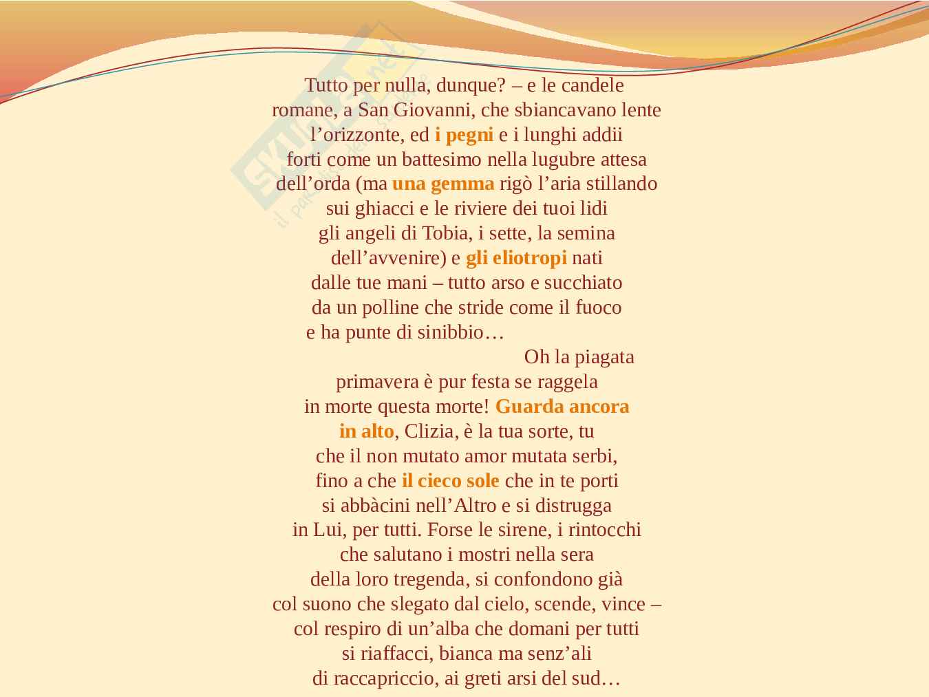 Tesina sul Girasole Pag. 6