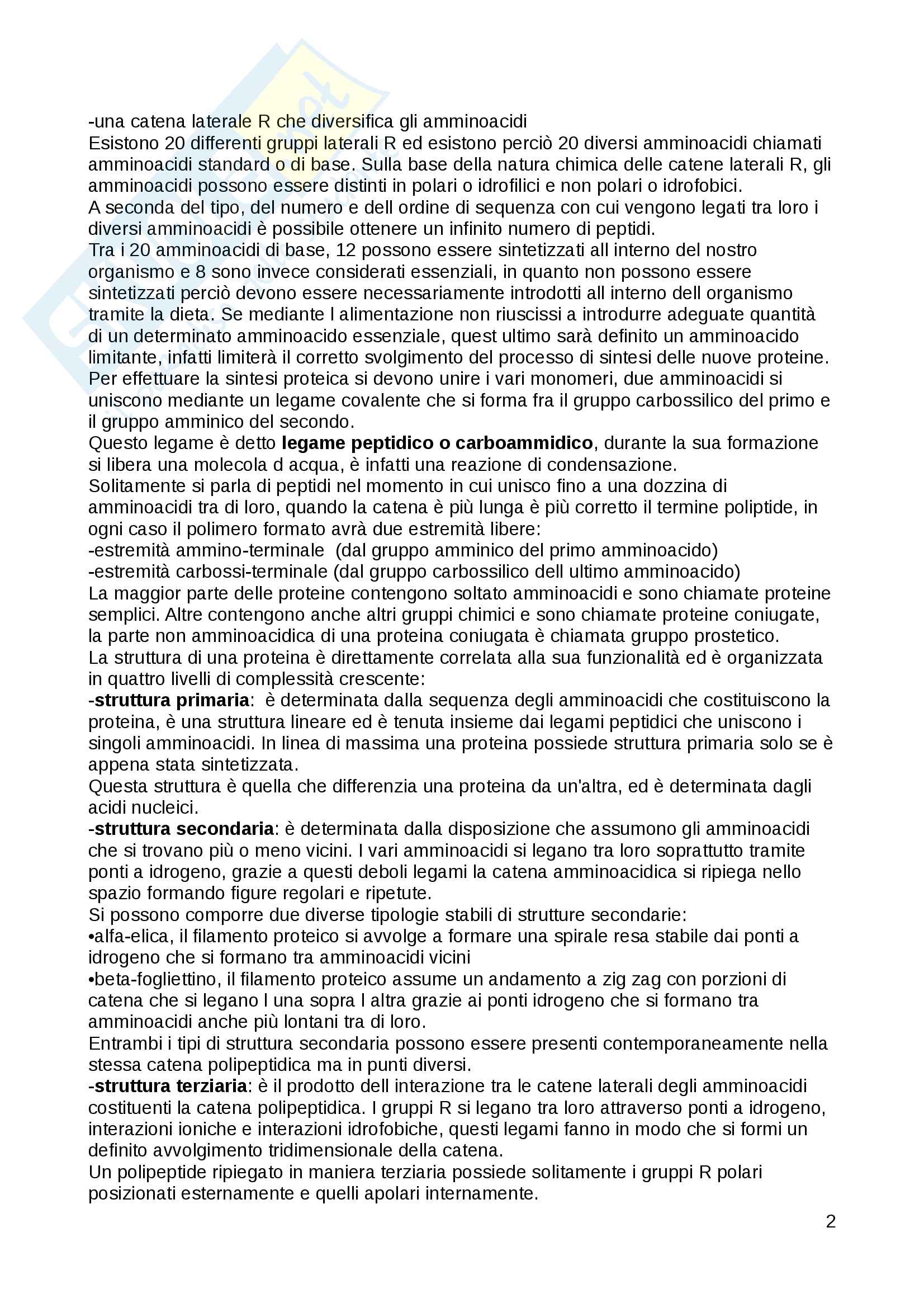 Biologia umana Pag. 2