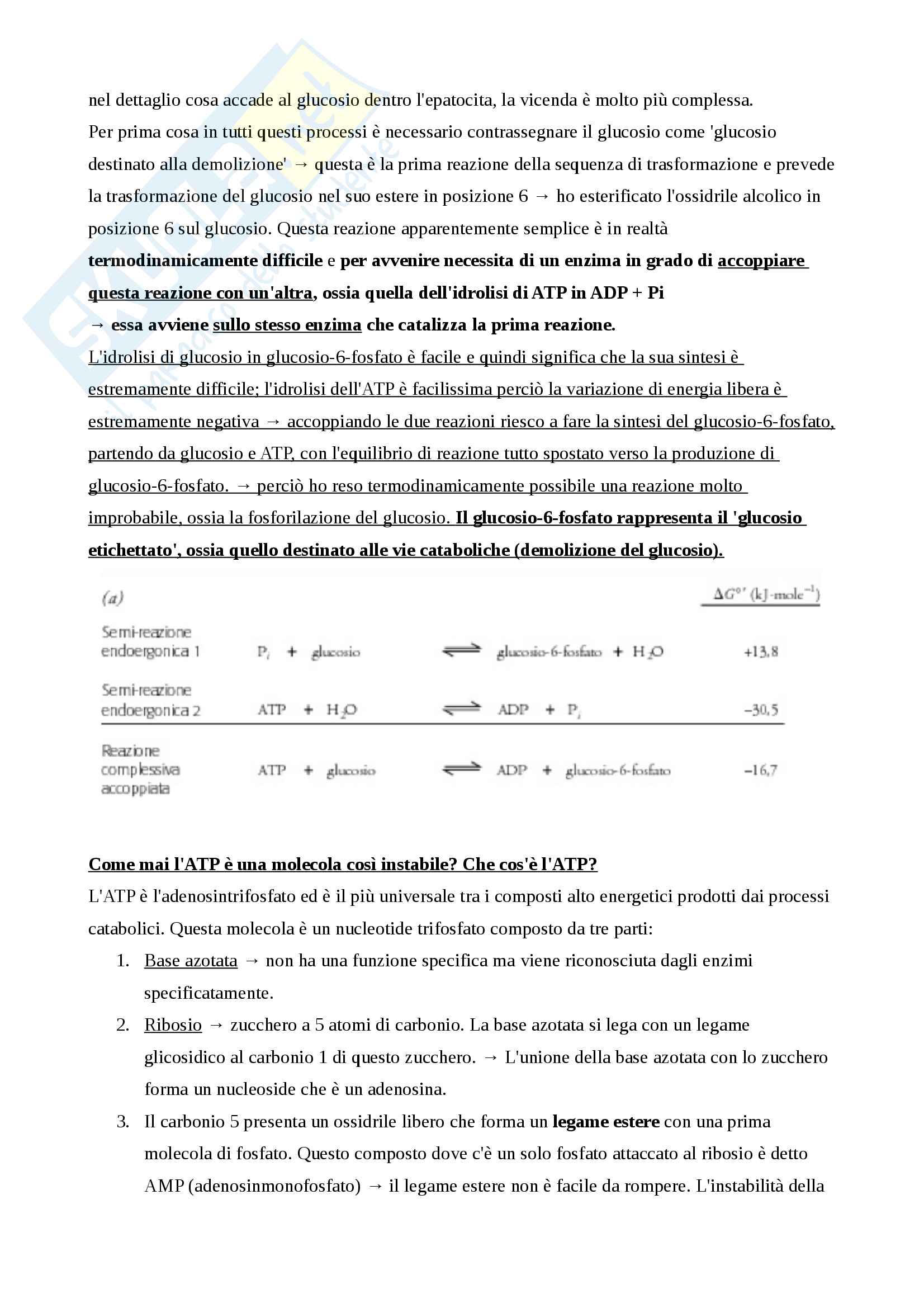 Biochimica generale Pag. 41