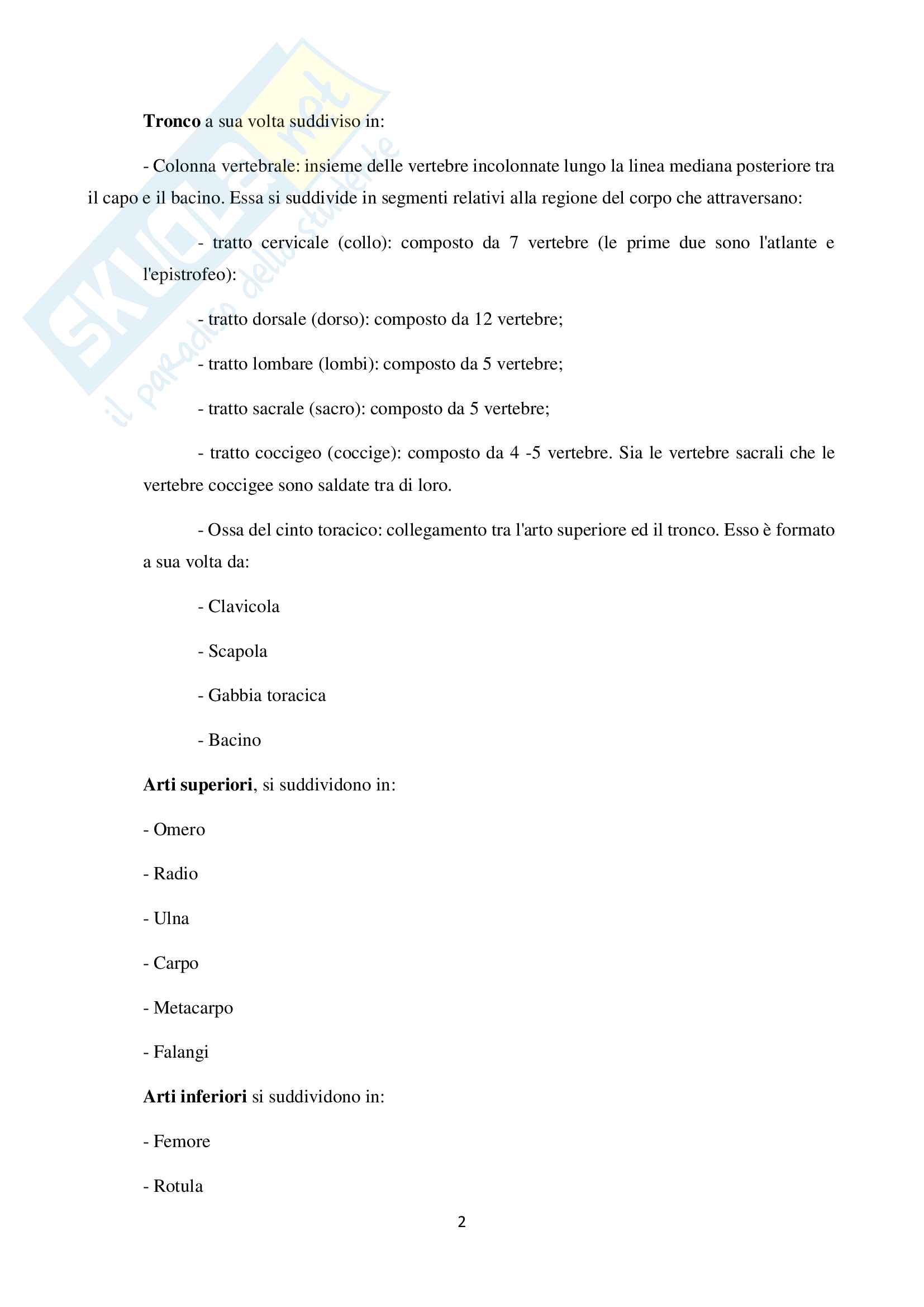 Riassunto Appunti Parte Medico Scientifica: Muscoli, Ossa, Alimentazione, Attività motoria Pag. 2