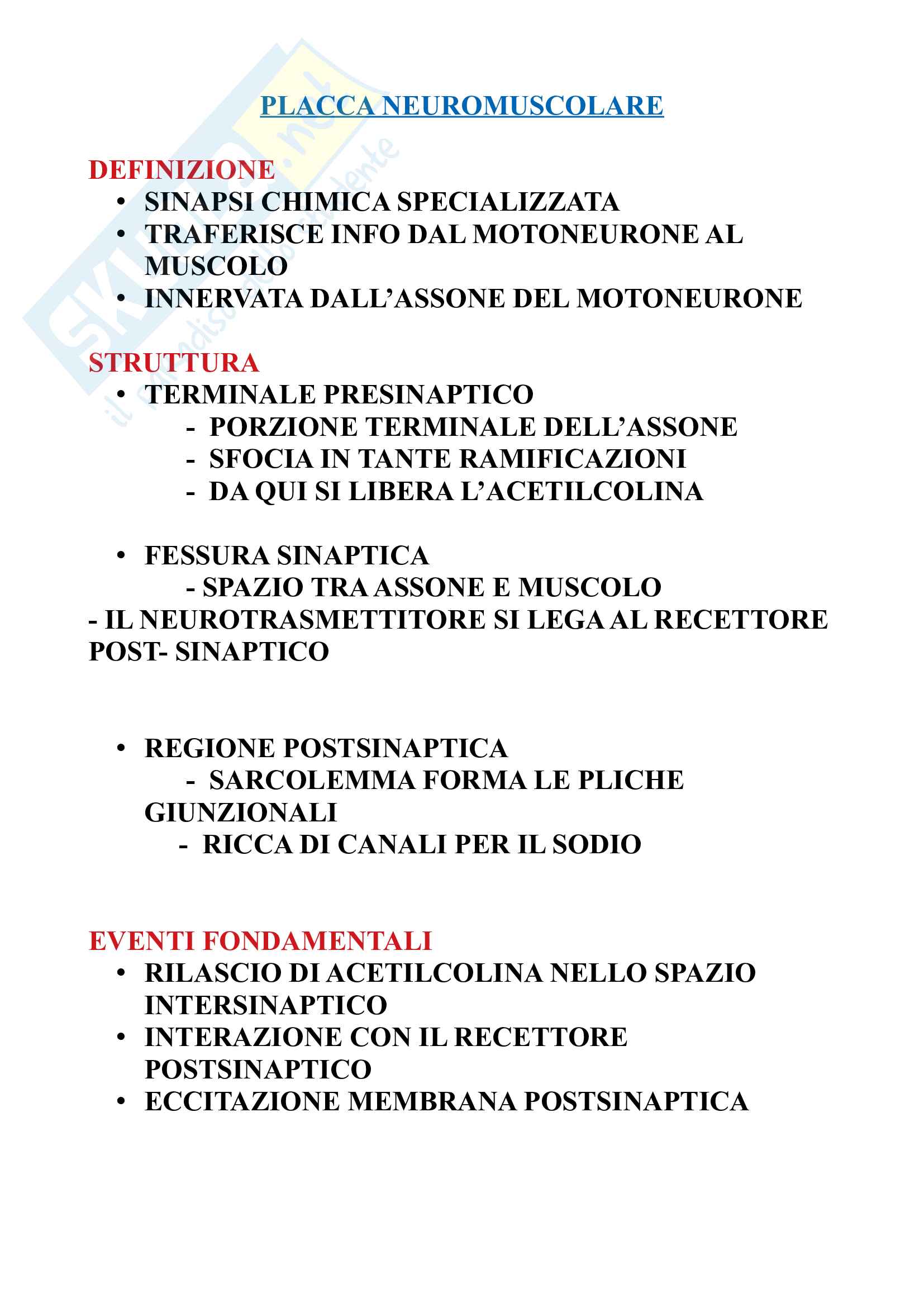 Neurologia Pag. 16