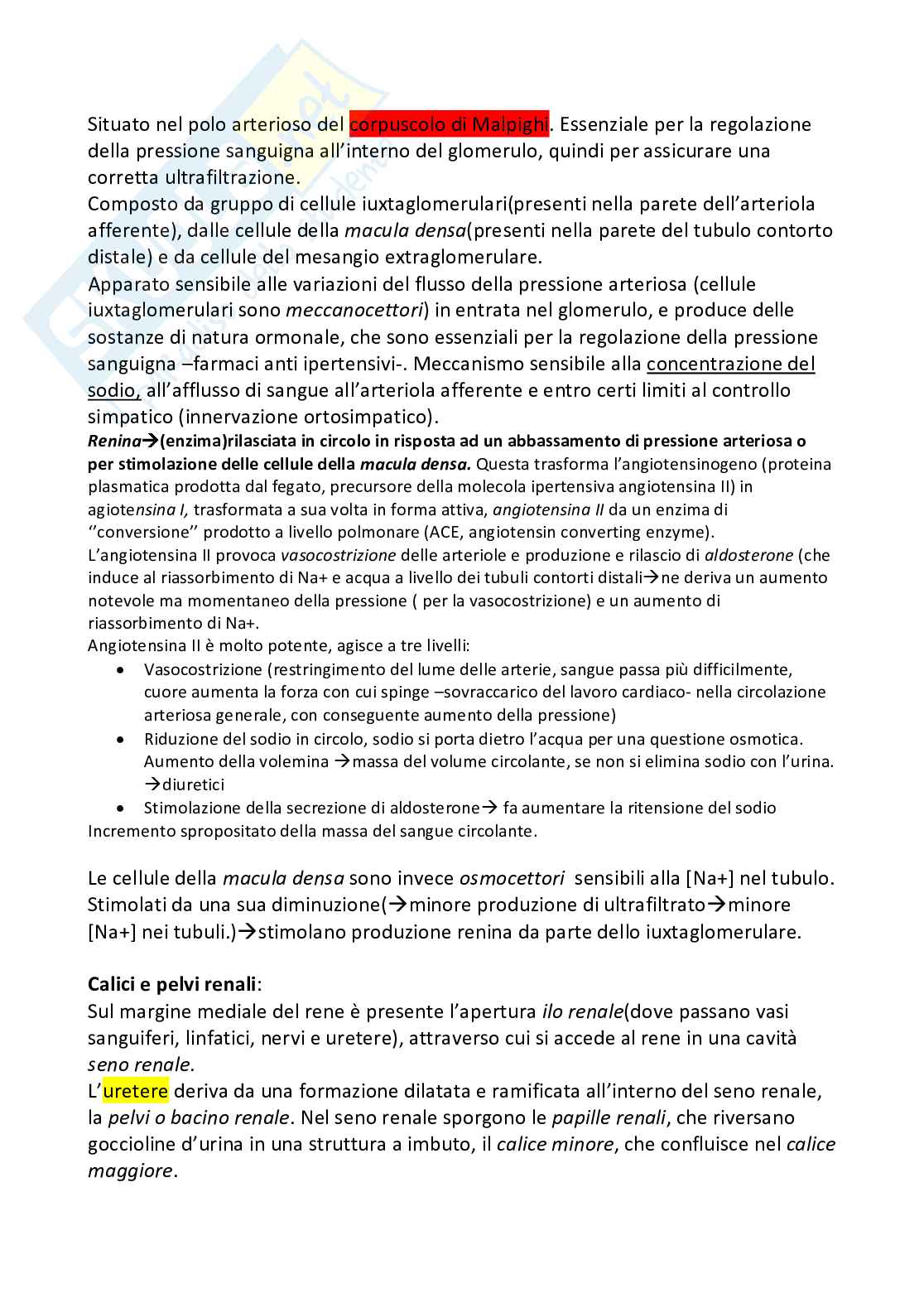 Anatomia Umana Pag. 66