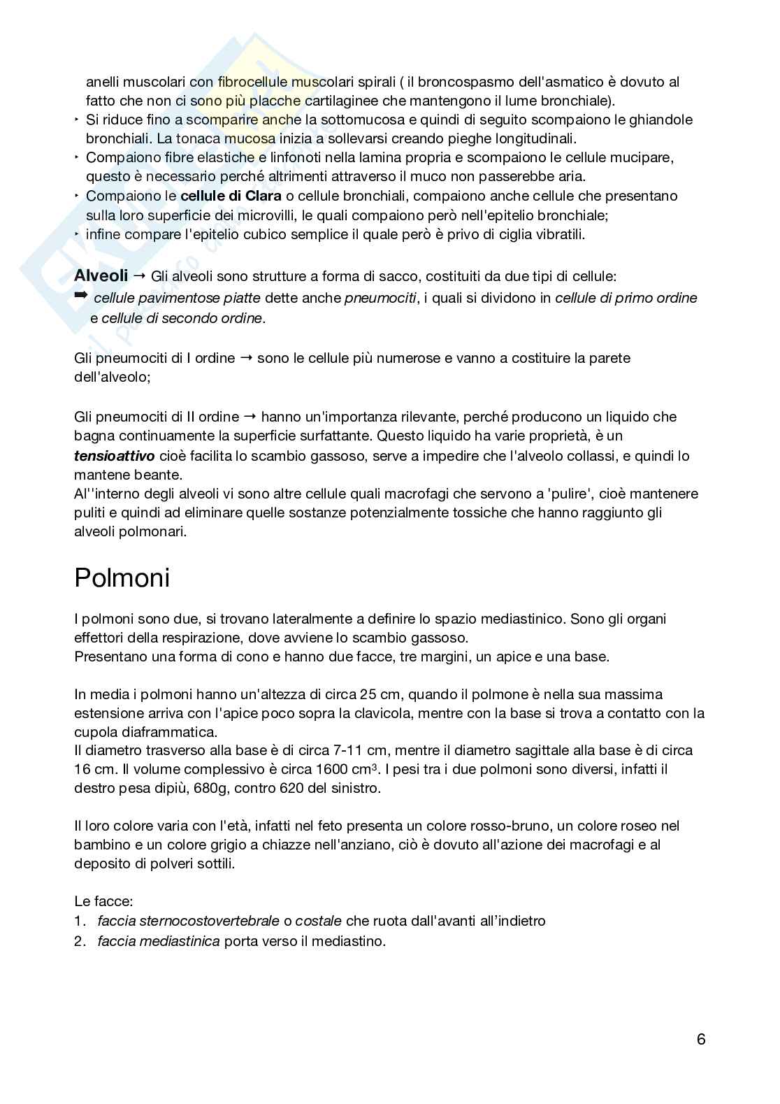 Appunti Anatomia Pag. 6