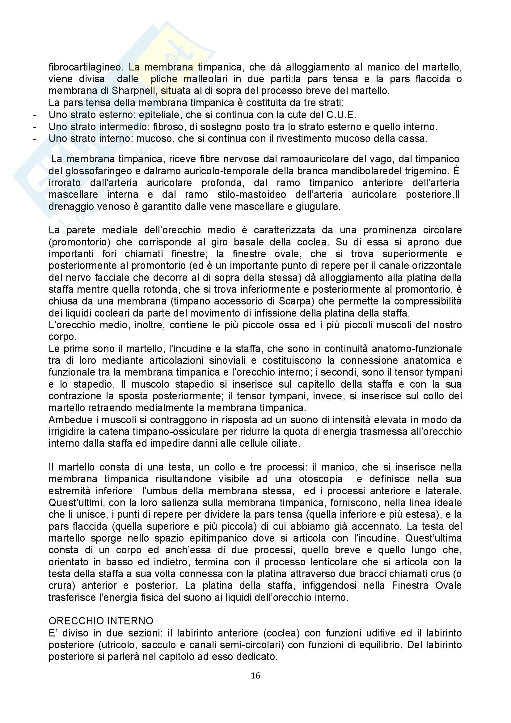 Appunti audiologia Pag. 16