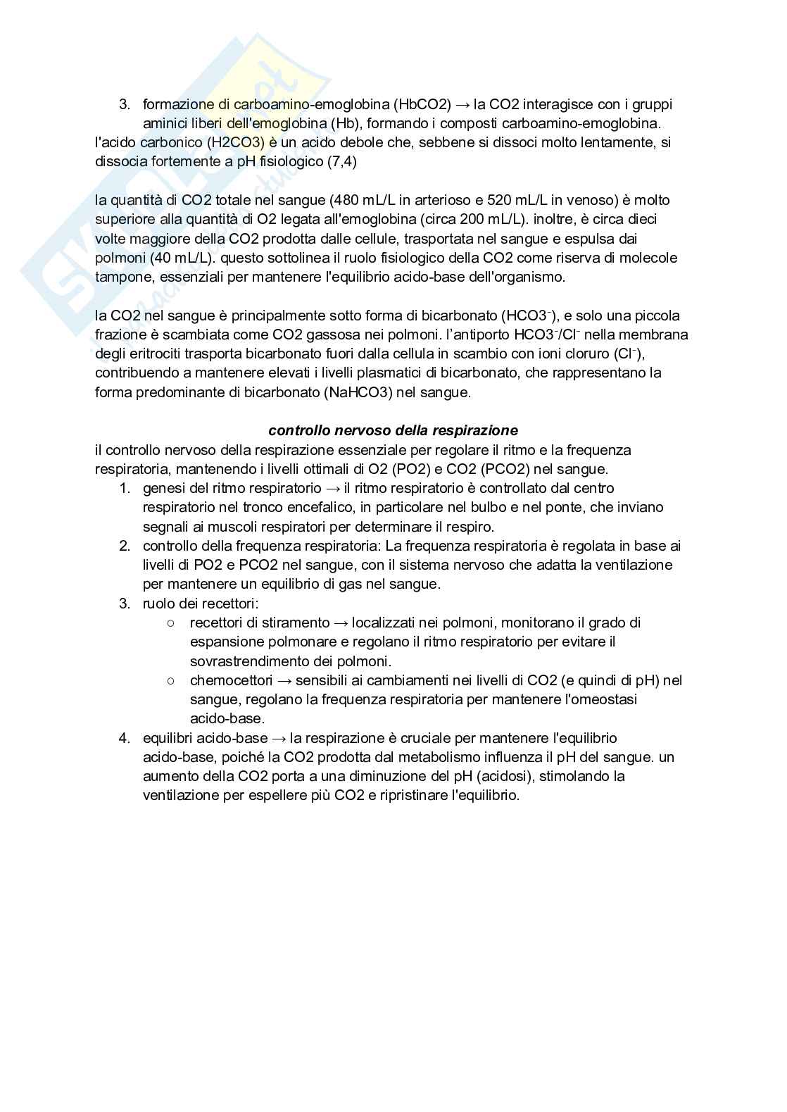 Sistema respiratorio Pag. 11