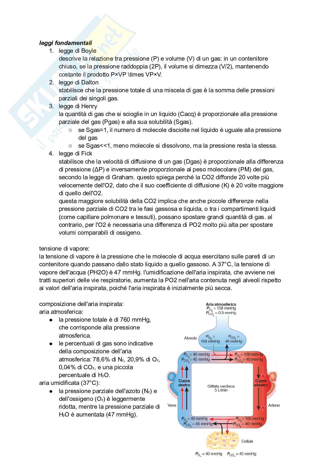 Sistema respiratorio Pag. 6
