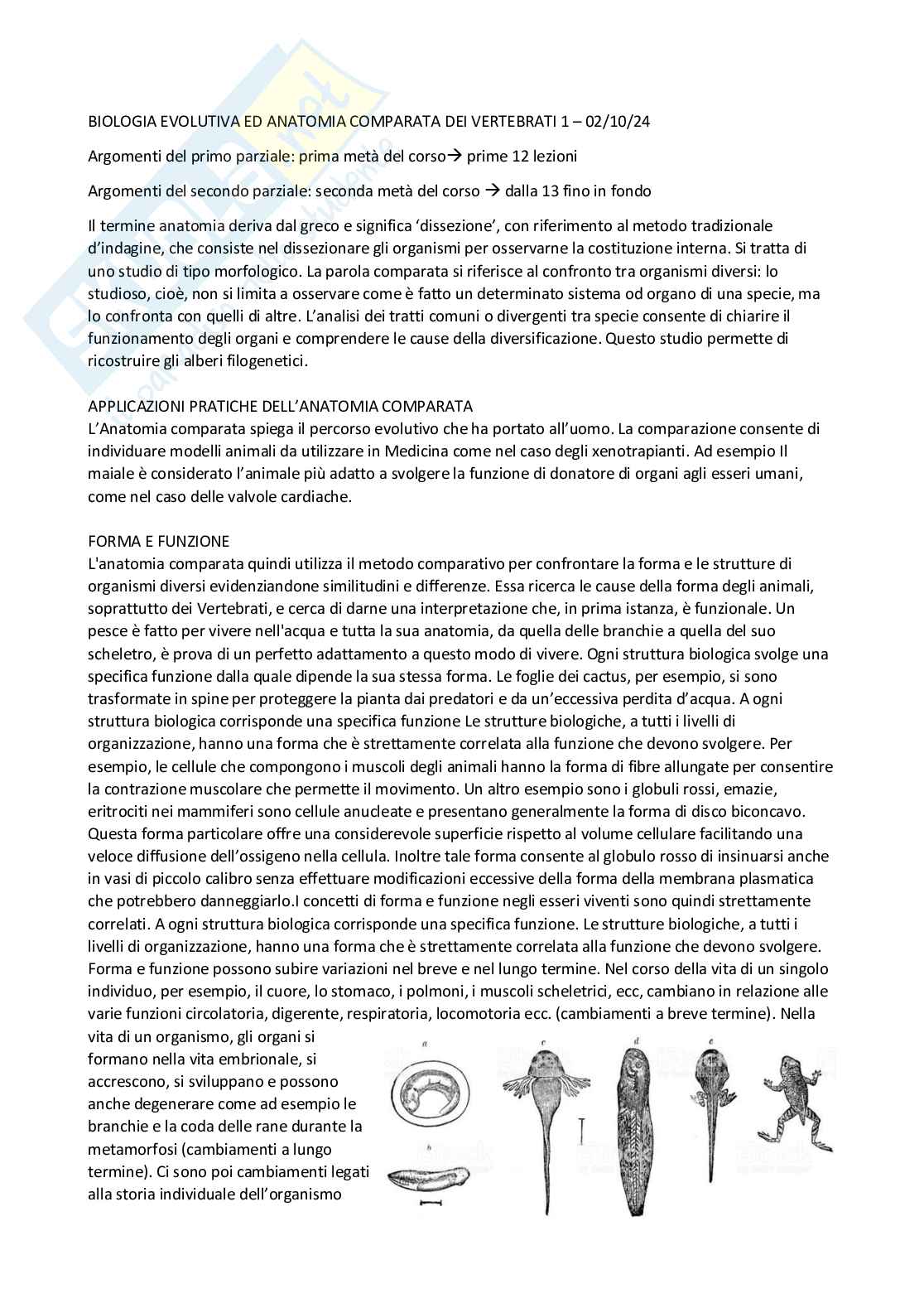 Biologia evolutiva e anatomia comparata dei vertebrati - parte 1 Pag. 1