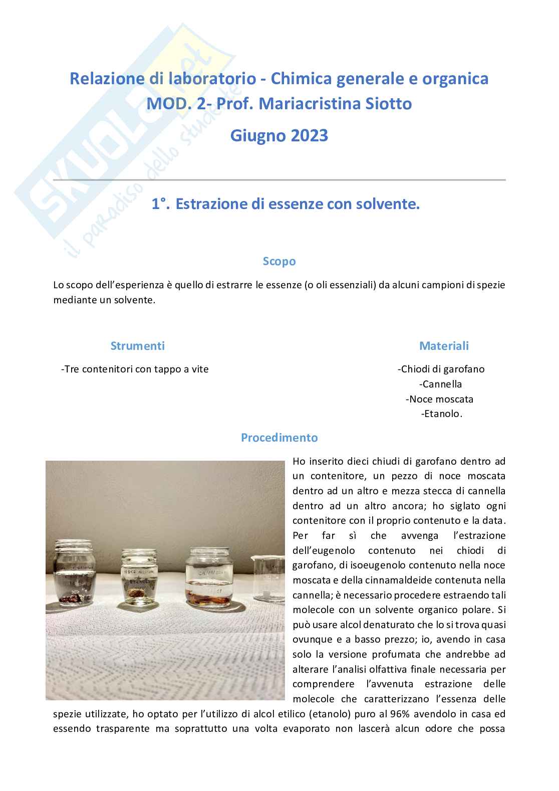 Relazione di Chimica generale e organica - modulo 2 Pag. 1