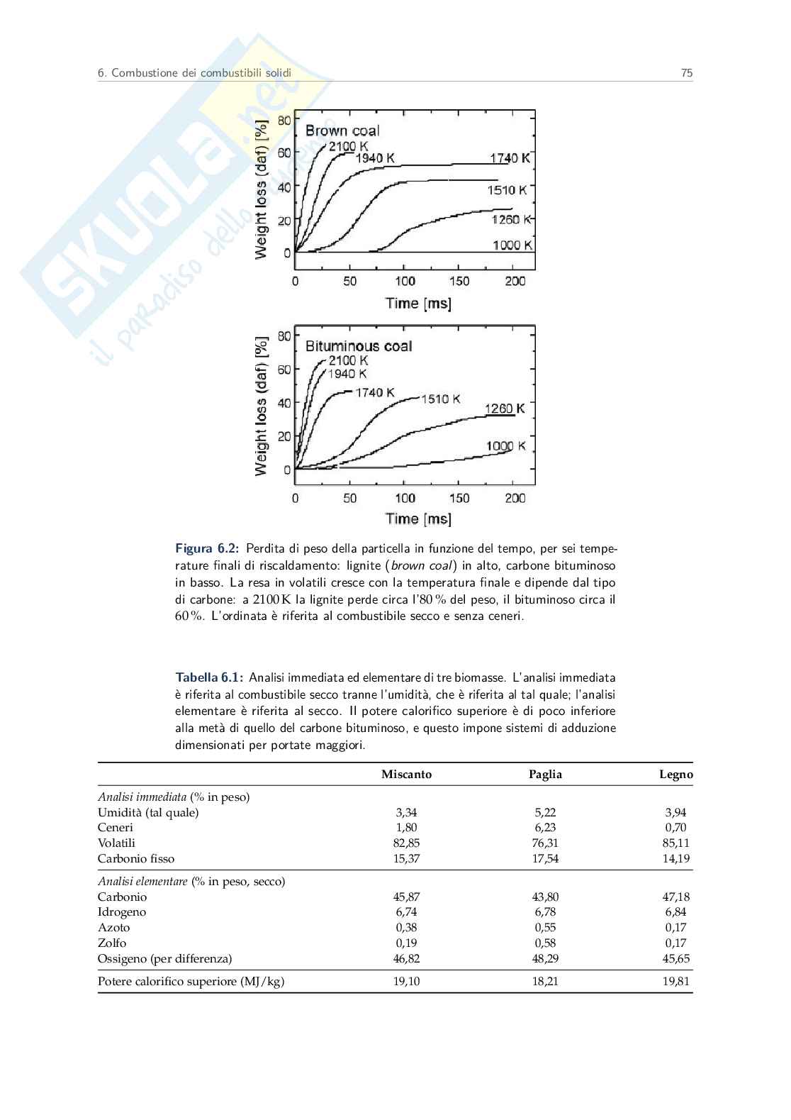 Appunti Sistemi avanzati per l'energia e l'ambiente Pag. 76