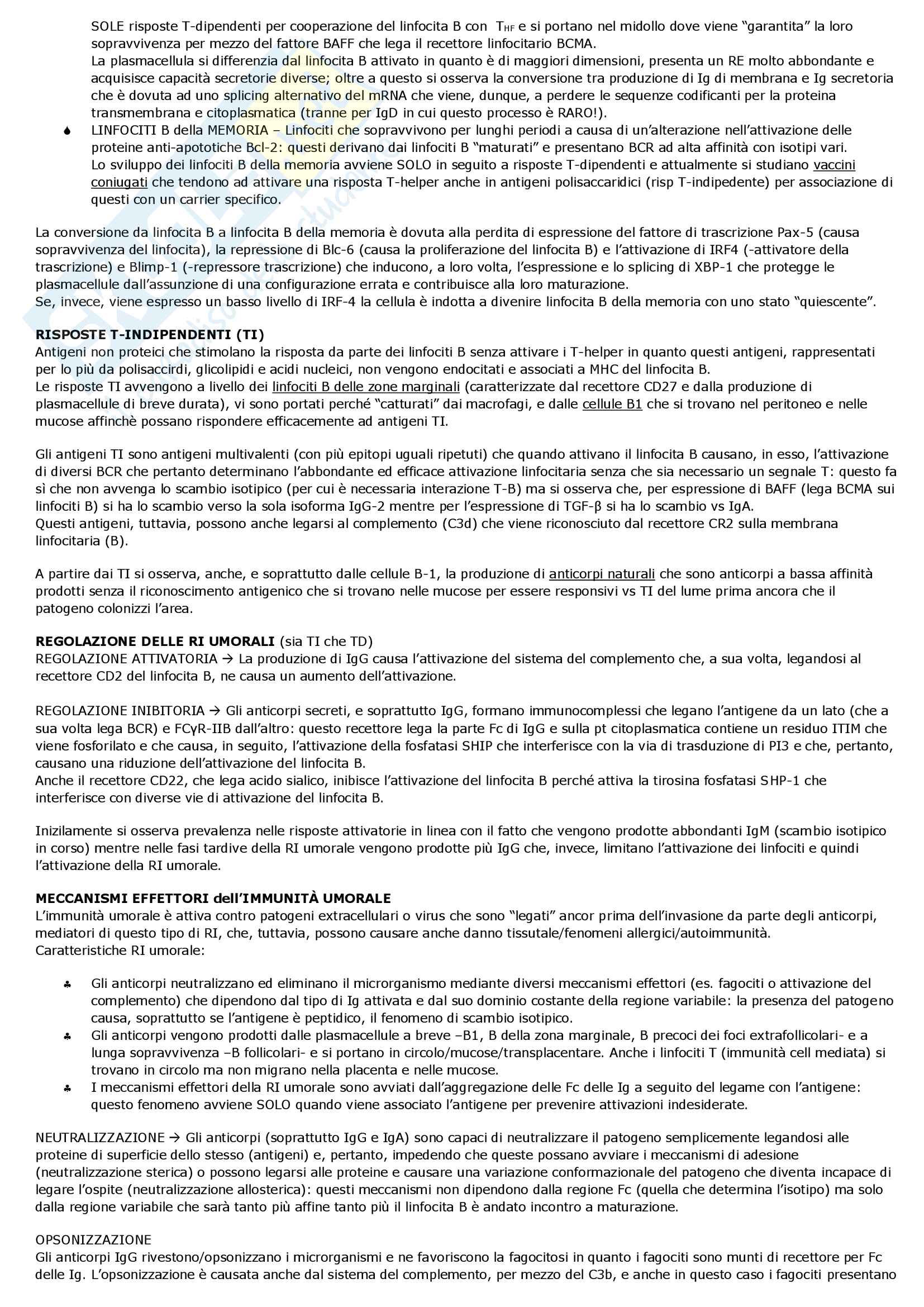 Riassunto esame Immunologia e Immunopatologia Pag. 36