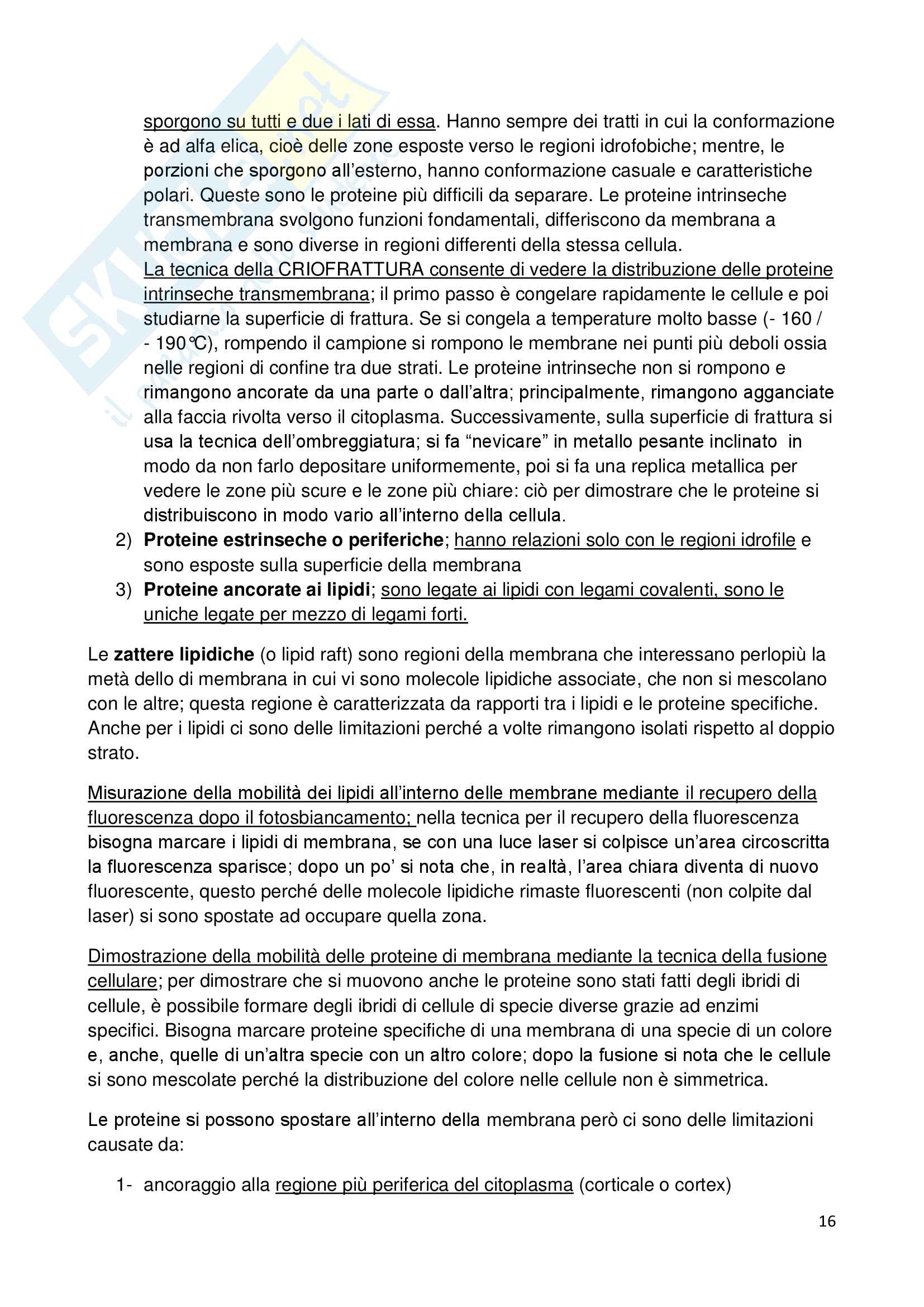 Appunti di biologia della cellula Pag. 16