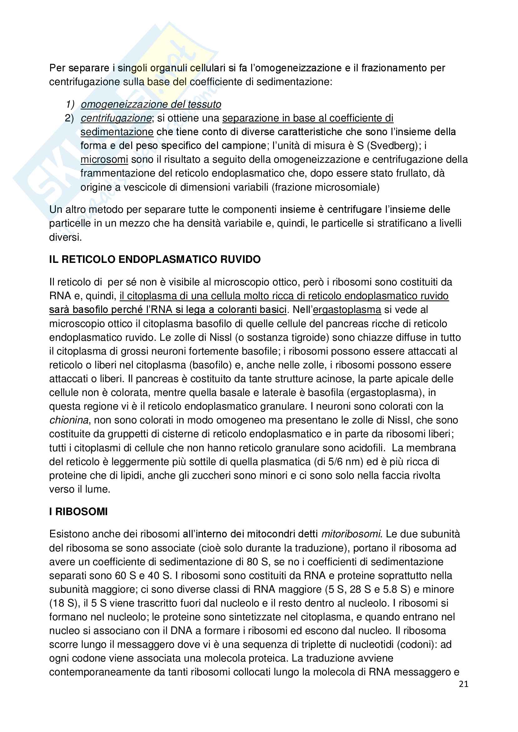 Appunti di biologia della cellula Pag. 21