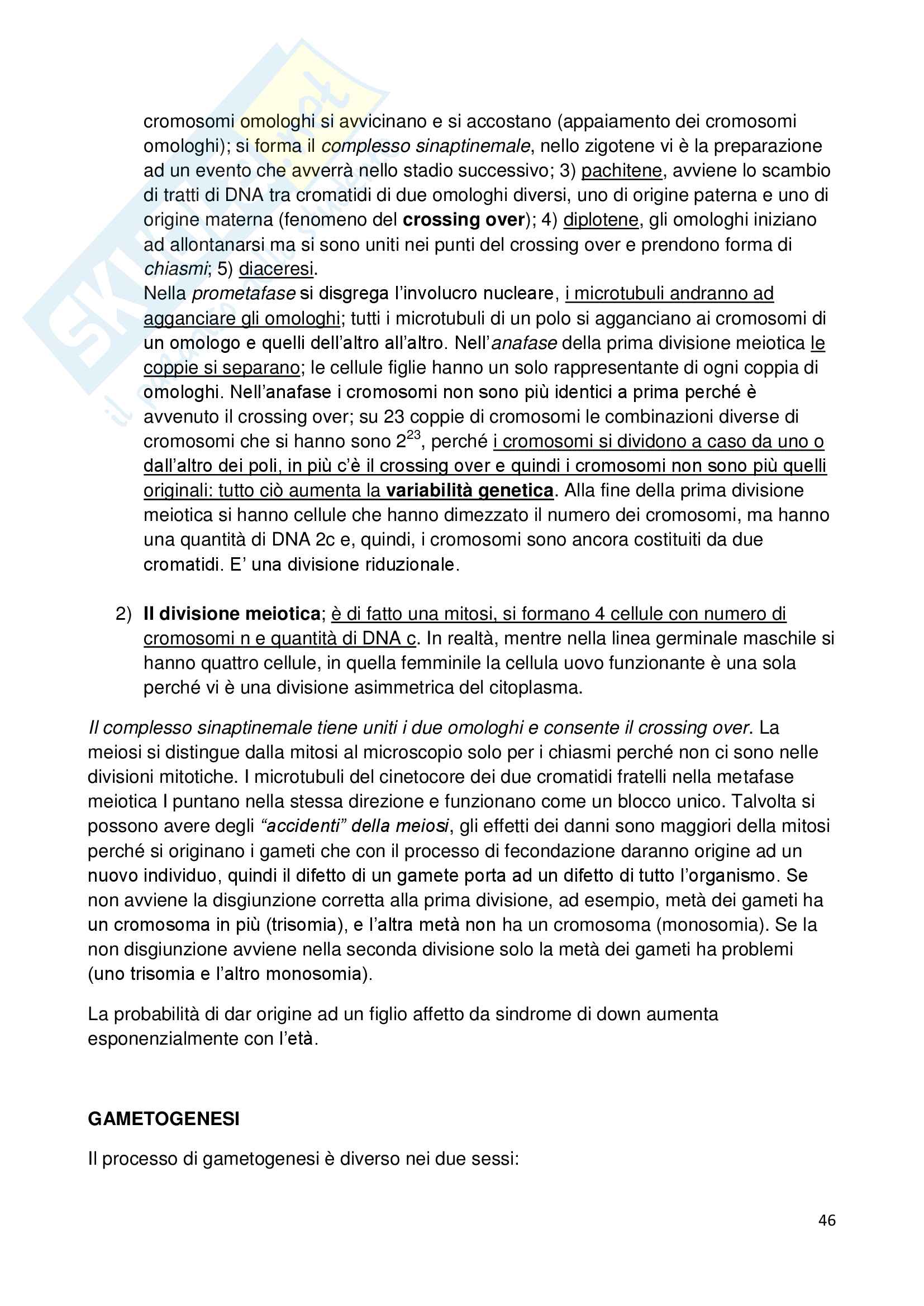 Appunti di biologia della cellula Pag. 46