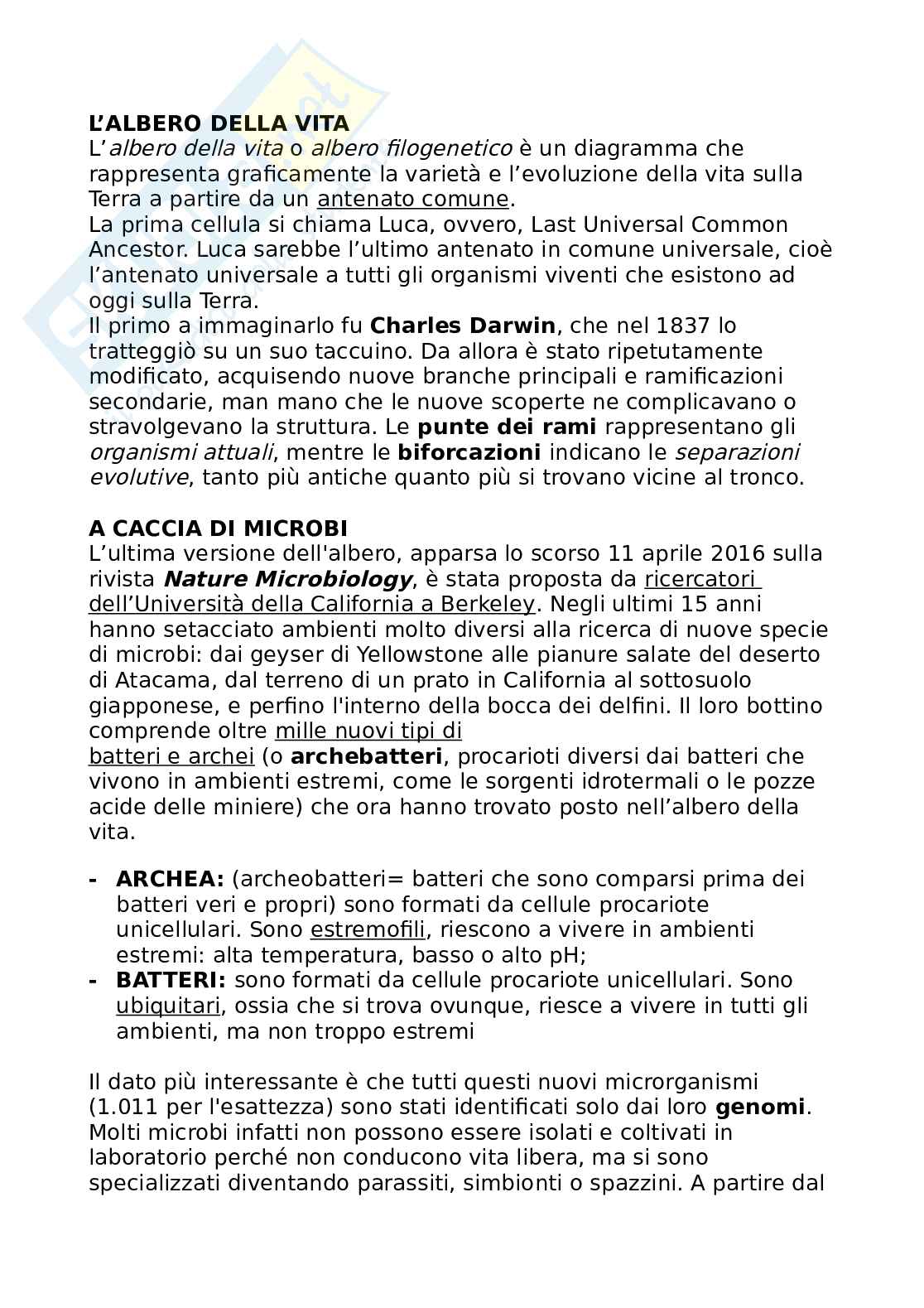 Albero della vita Pag. 1