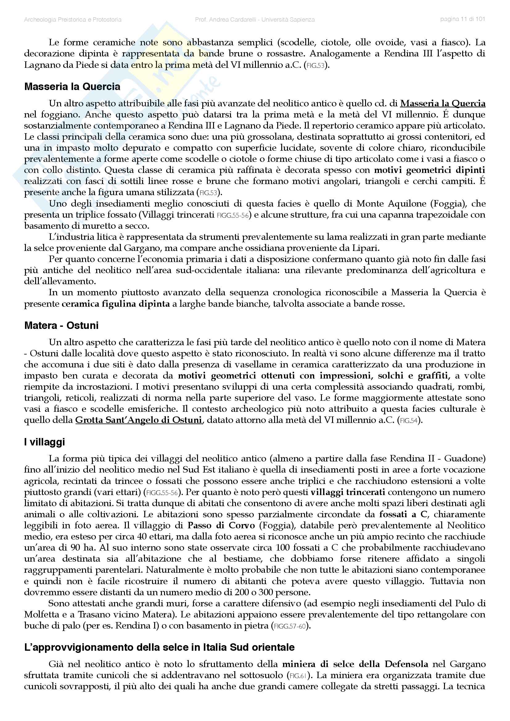 Appunti di Preistoria e Protostoria Pag. 11