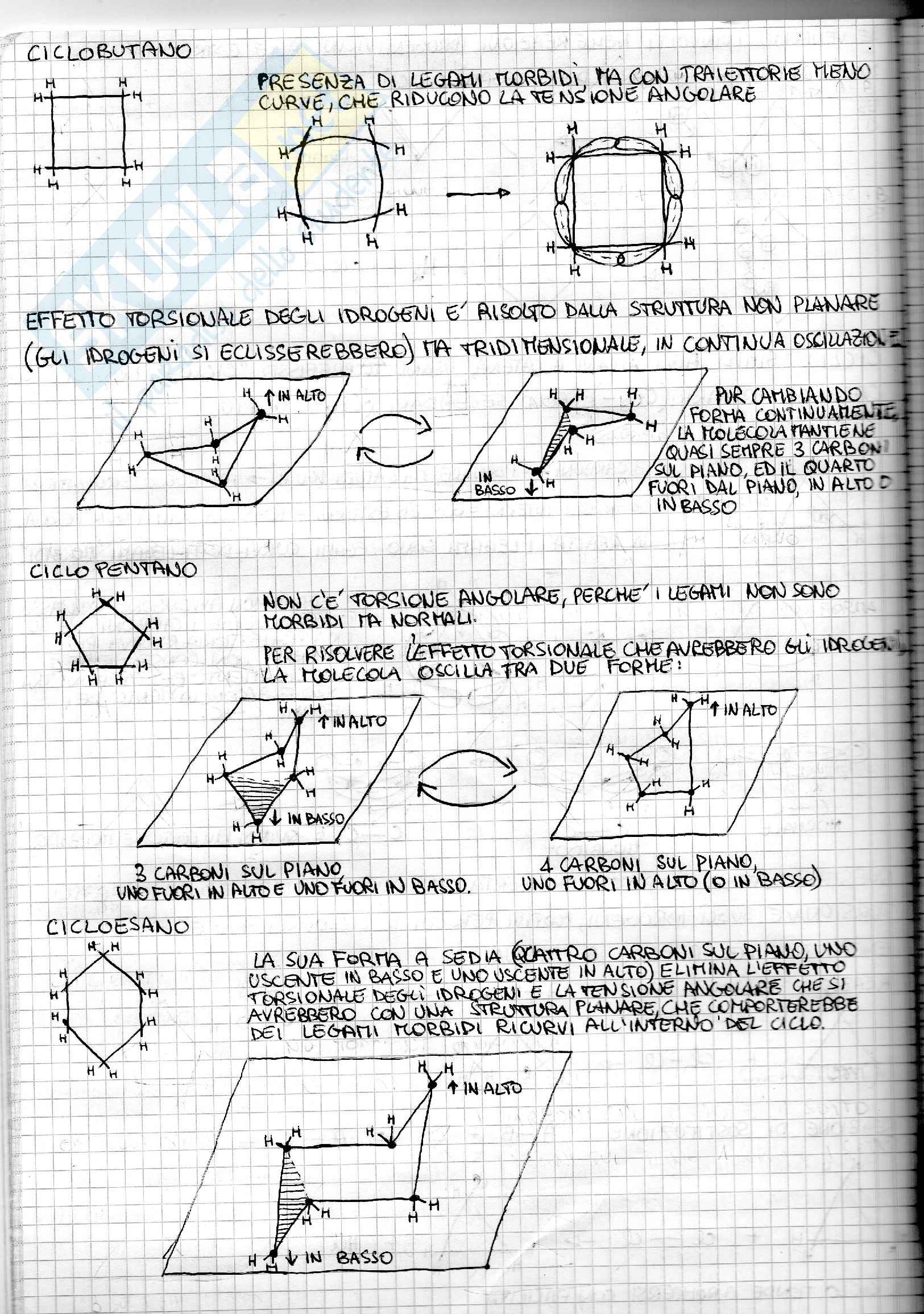 Riassunto esame Chimica Organica, prof. Guarna Pag. 21