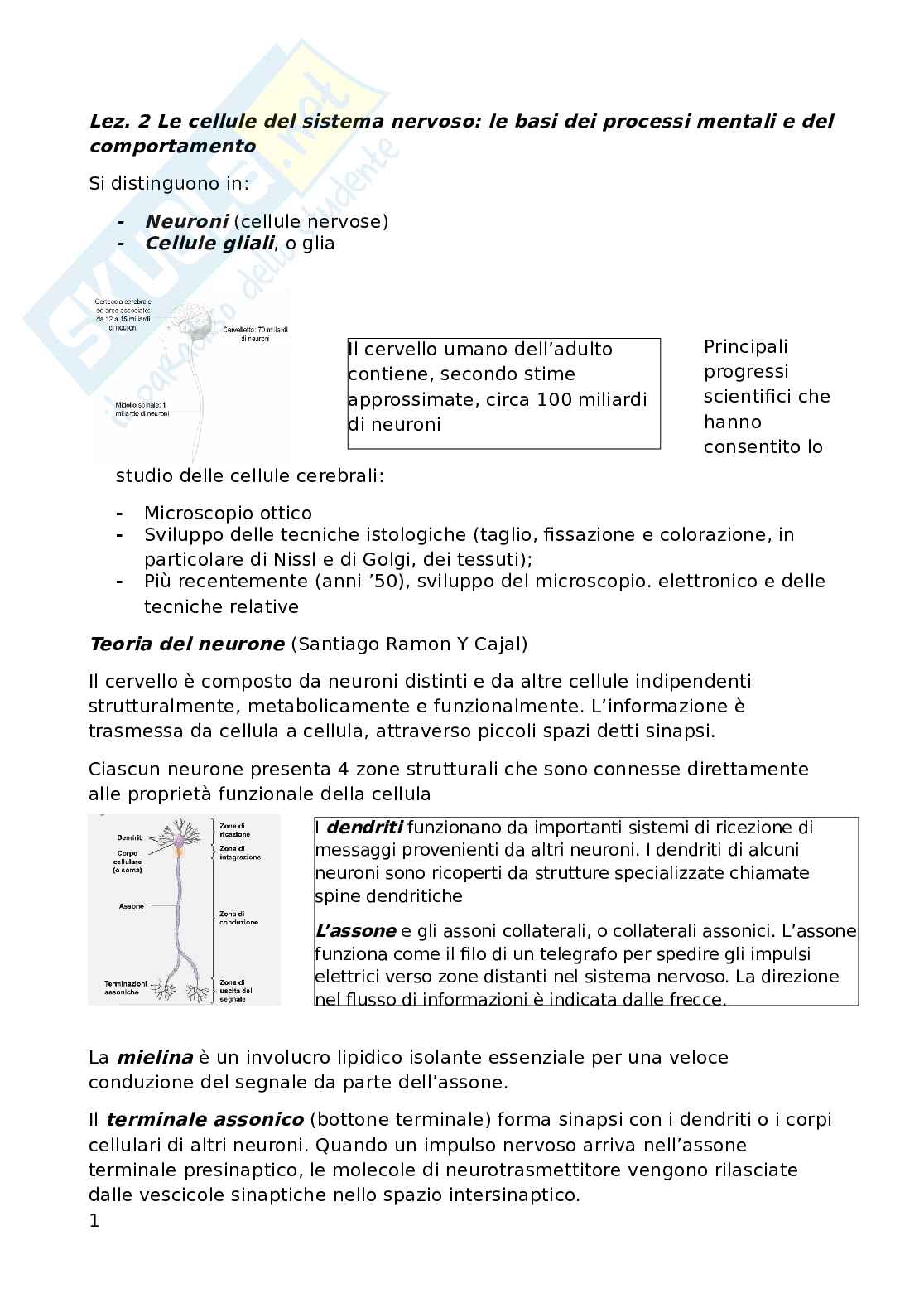 Psicobiologia Pag. 1