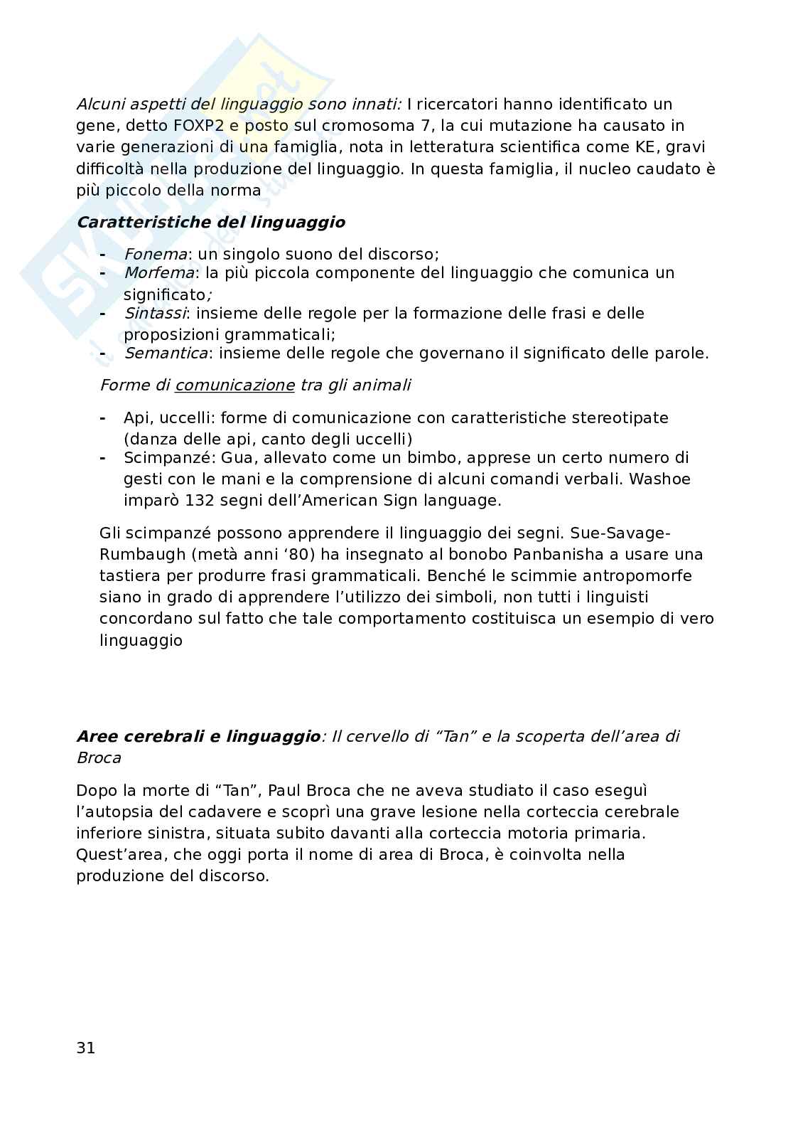 Psicobiologia Pag. 31