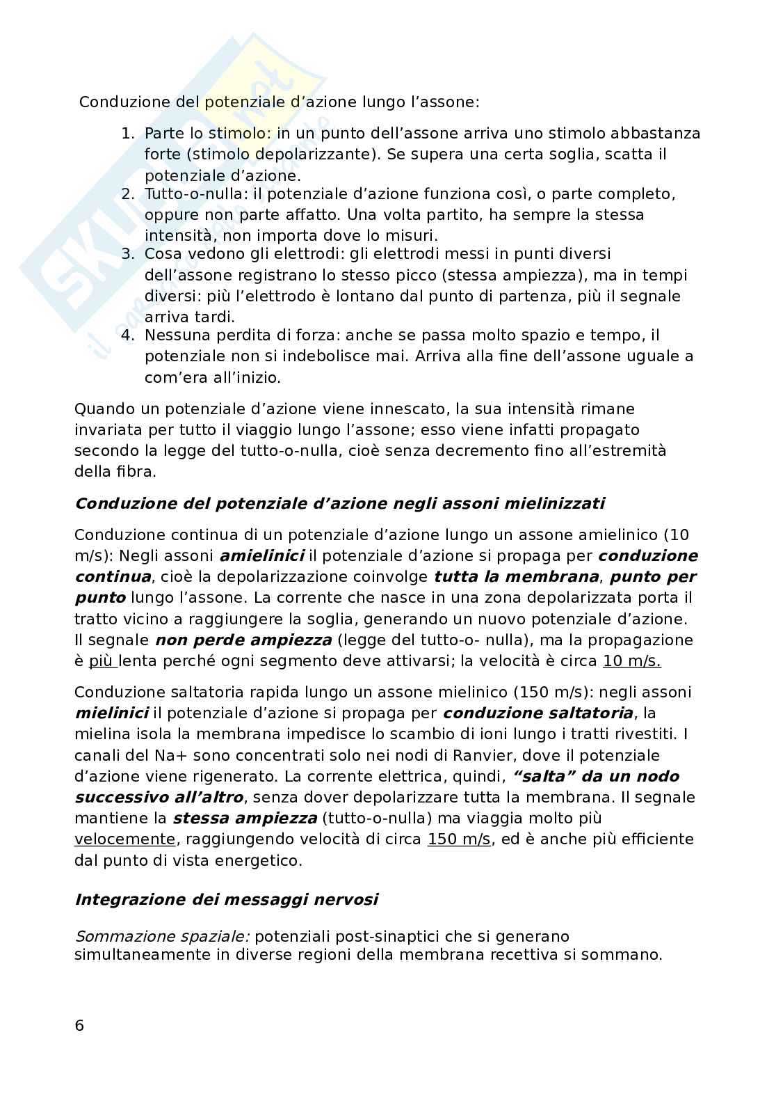 Psicobiologia Pag. 6