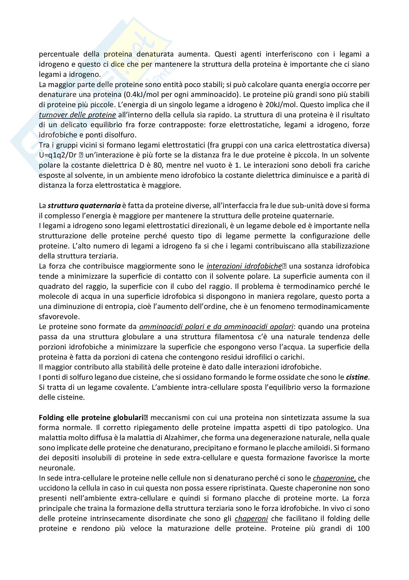 Biochimica generale Pag. 11