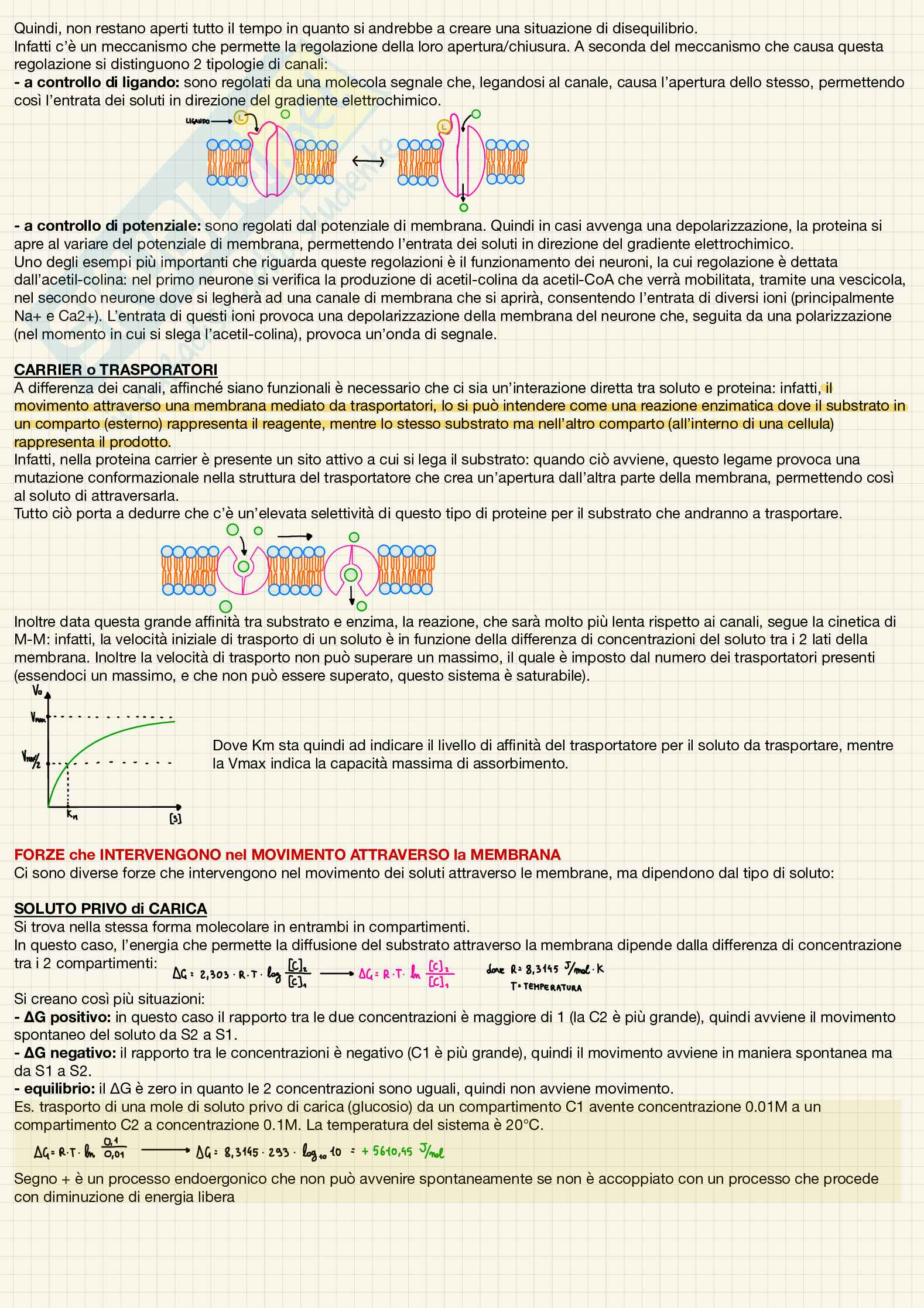 Biochimica Pag. 16